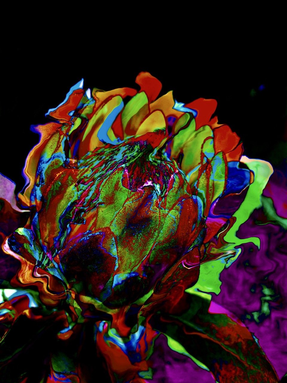 Protea Violet