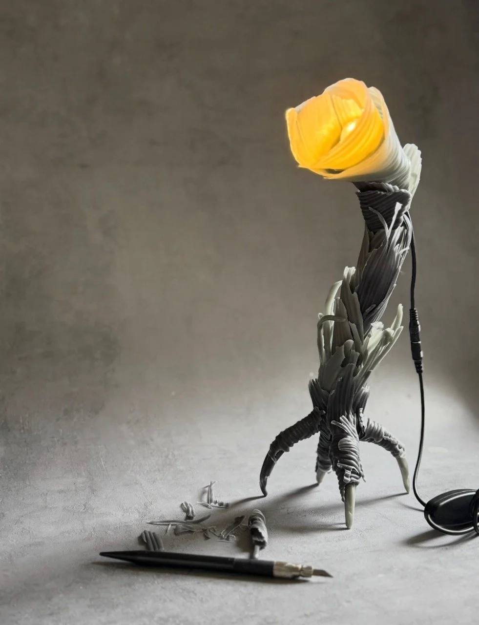 Tulip Lights The Bulb