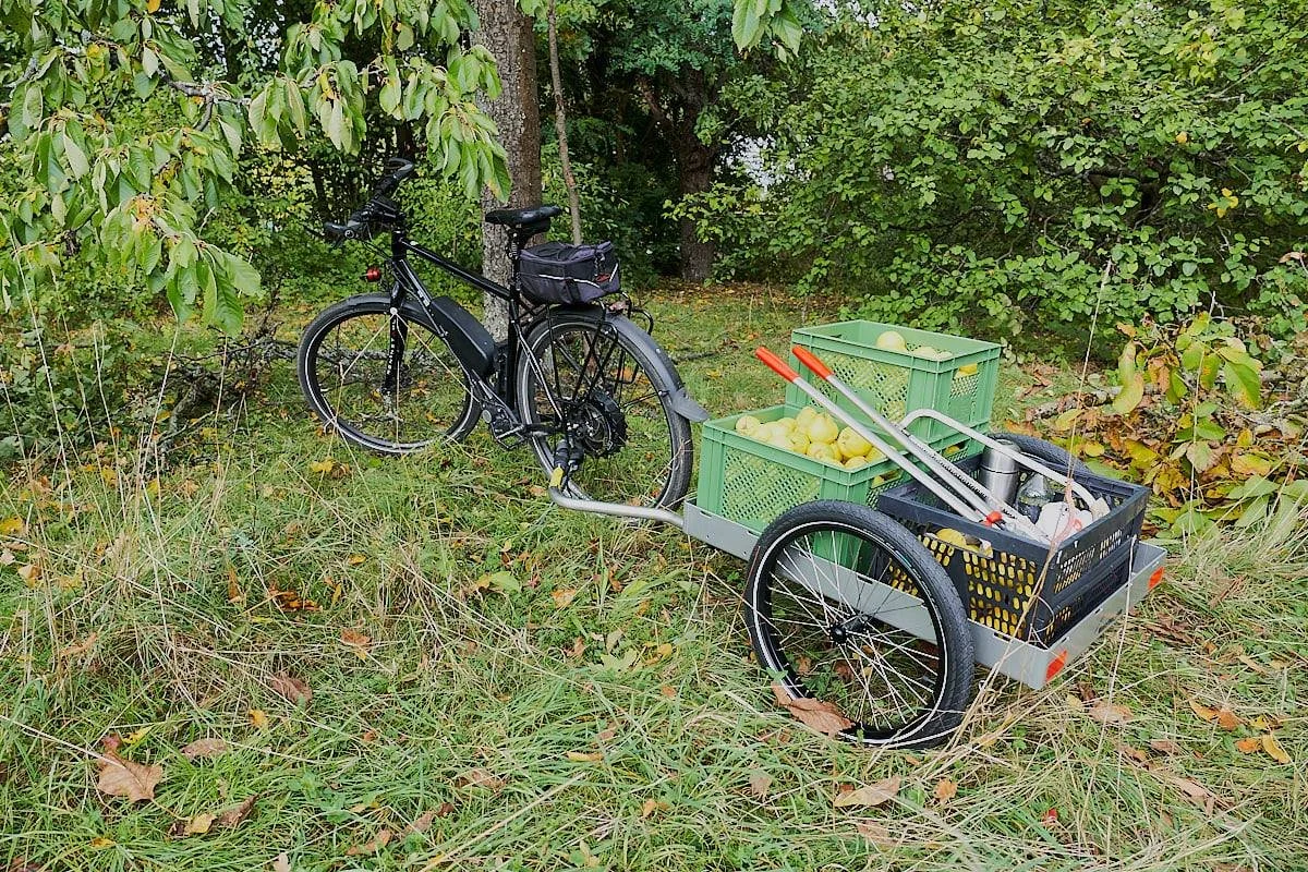 Hinterher-Anhänger mit Obstkisten direkt auf der Wiese unter Obstbäumen, daneben ein E-Bike