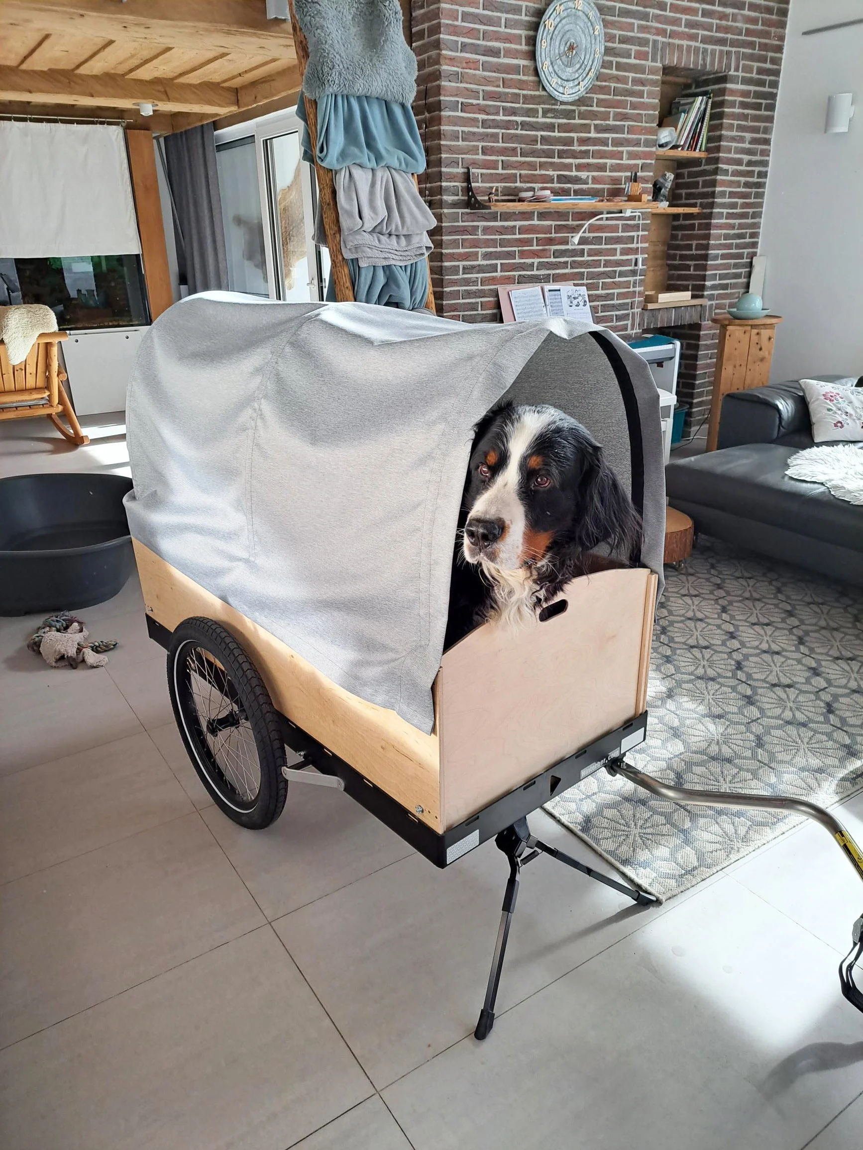 DIY-Hundeanhänger