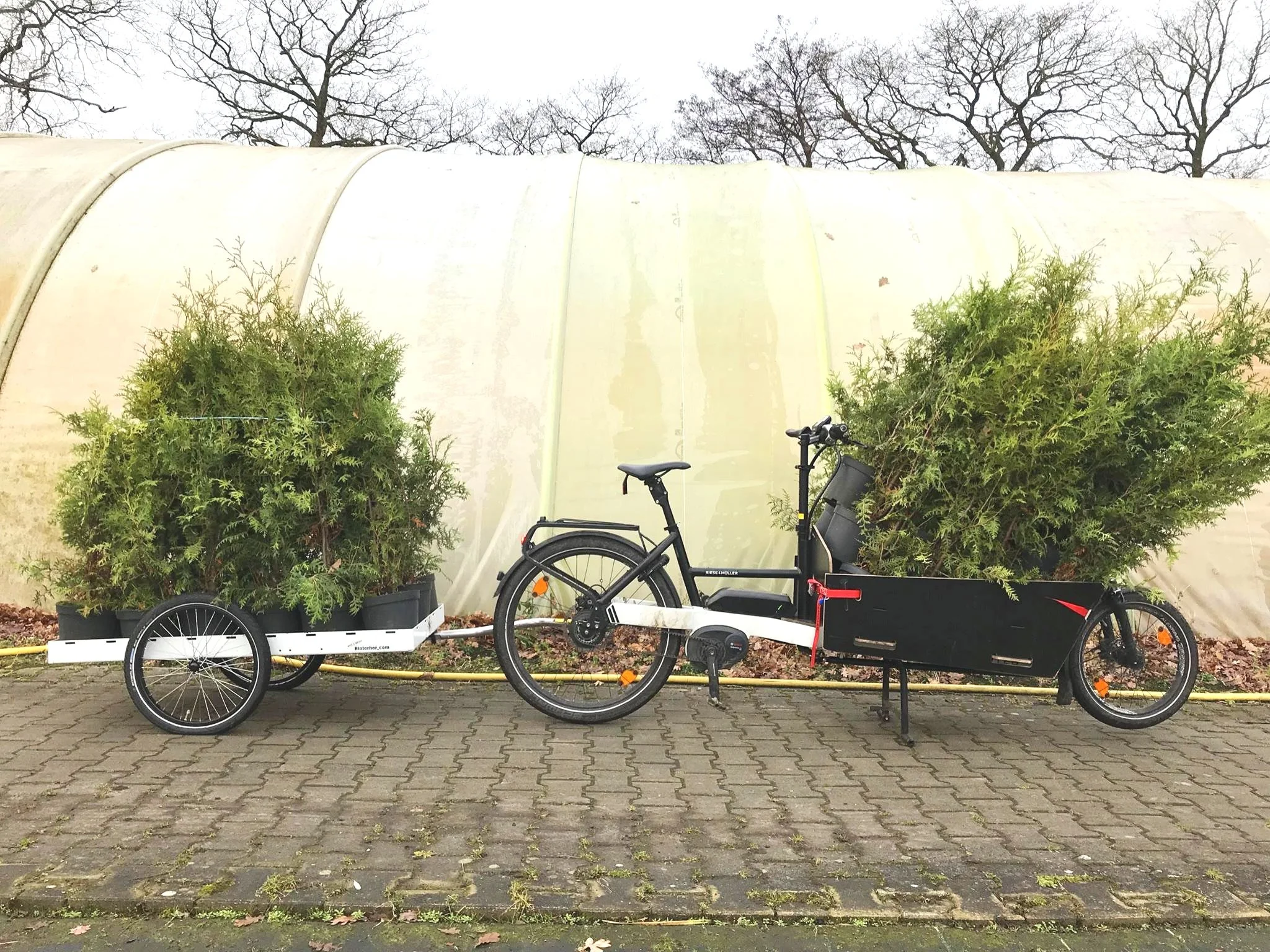 Fahrradanhänger mit Pflanzen und Bäumen für den Gartenbau