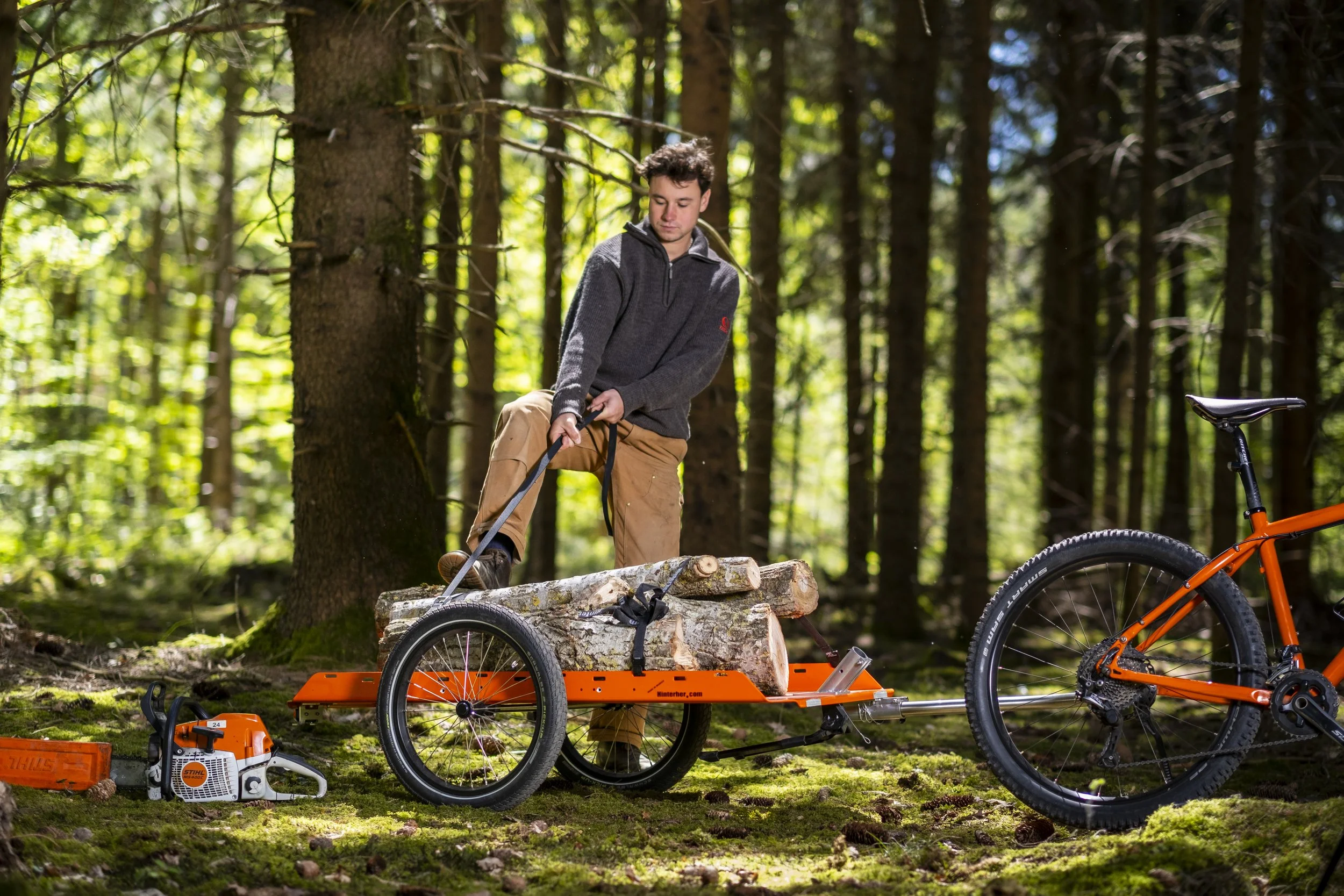 Ein grosser Fahrradanhänger im Wald beim Holztransport