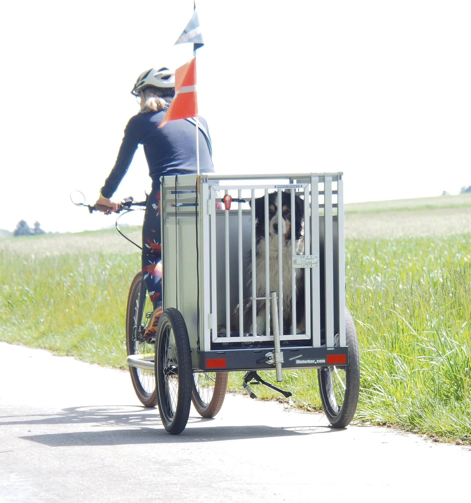 Spannende Hunde Fahrradanhnger Xxl Fotos