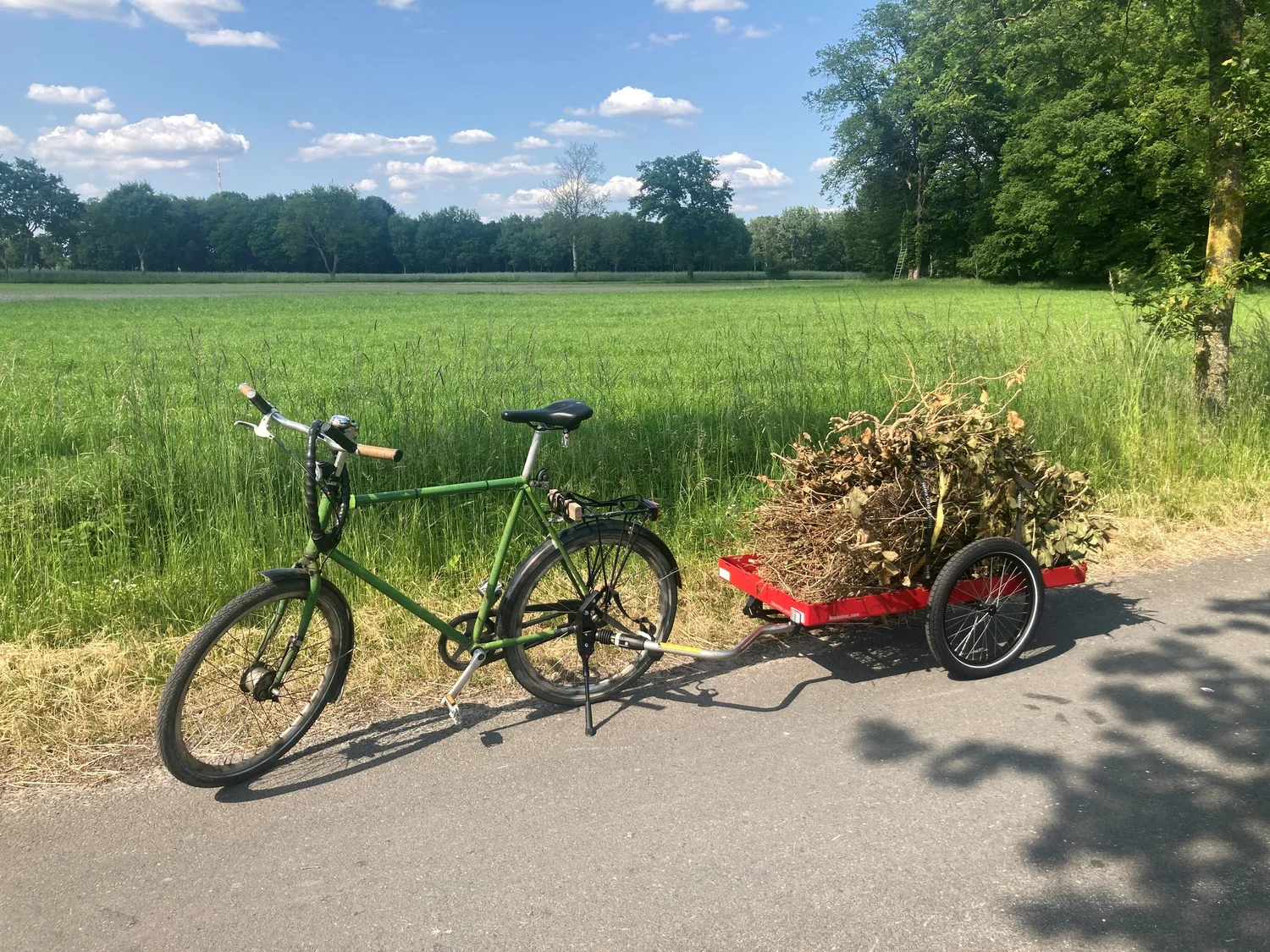 Fahrrad mit rotem Hinterher Hxxxl light voller Äste am Feldrand