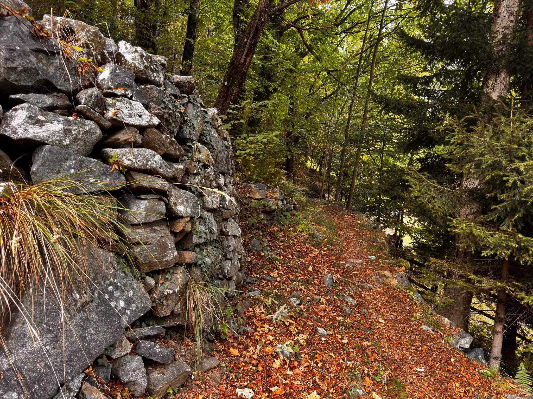 Autumn colours in the mountains