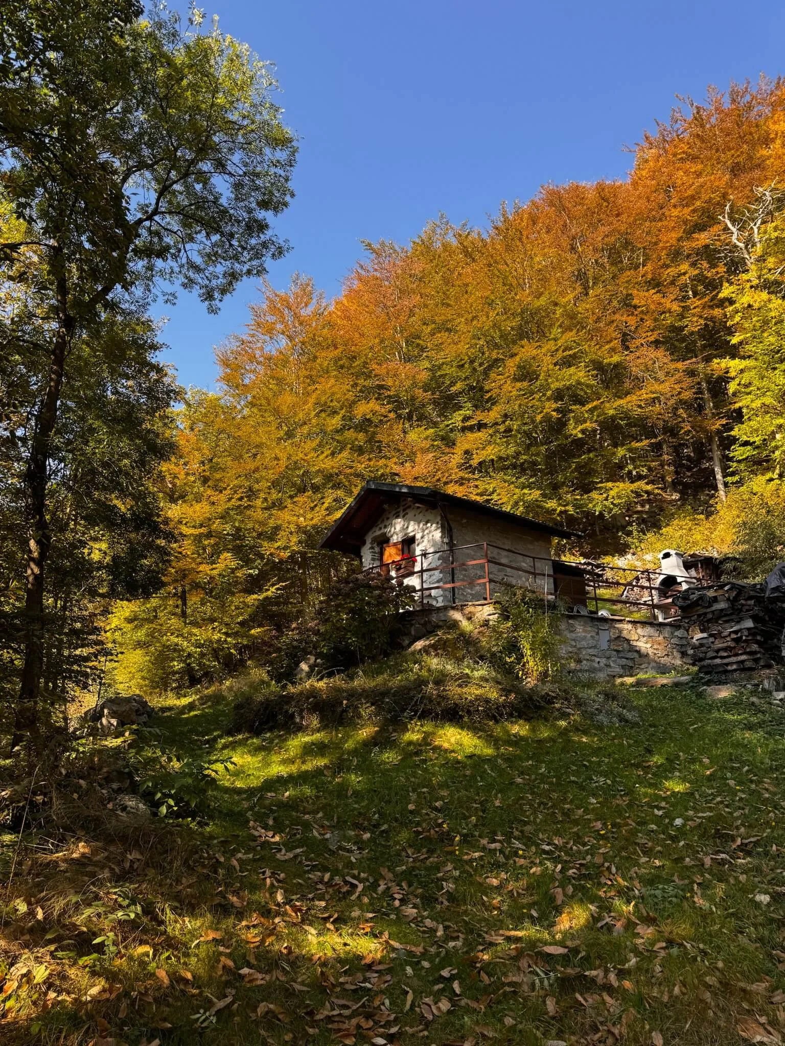 A Little Cabin in the Alps in autumnal colours