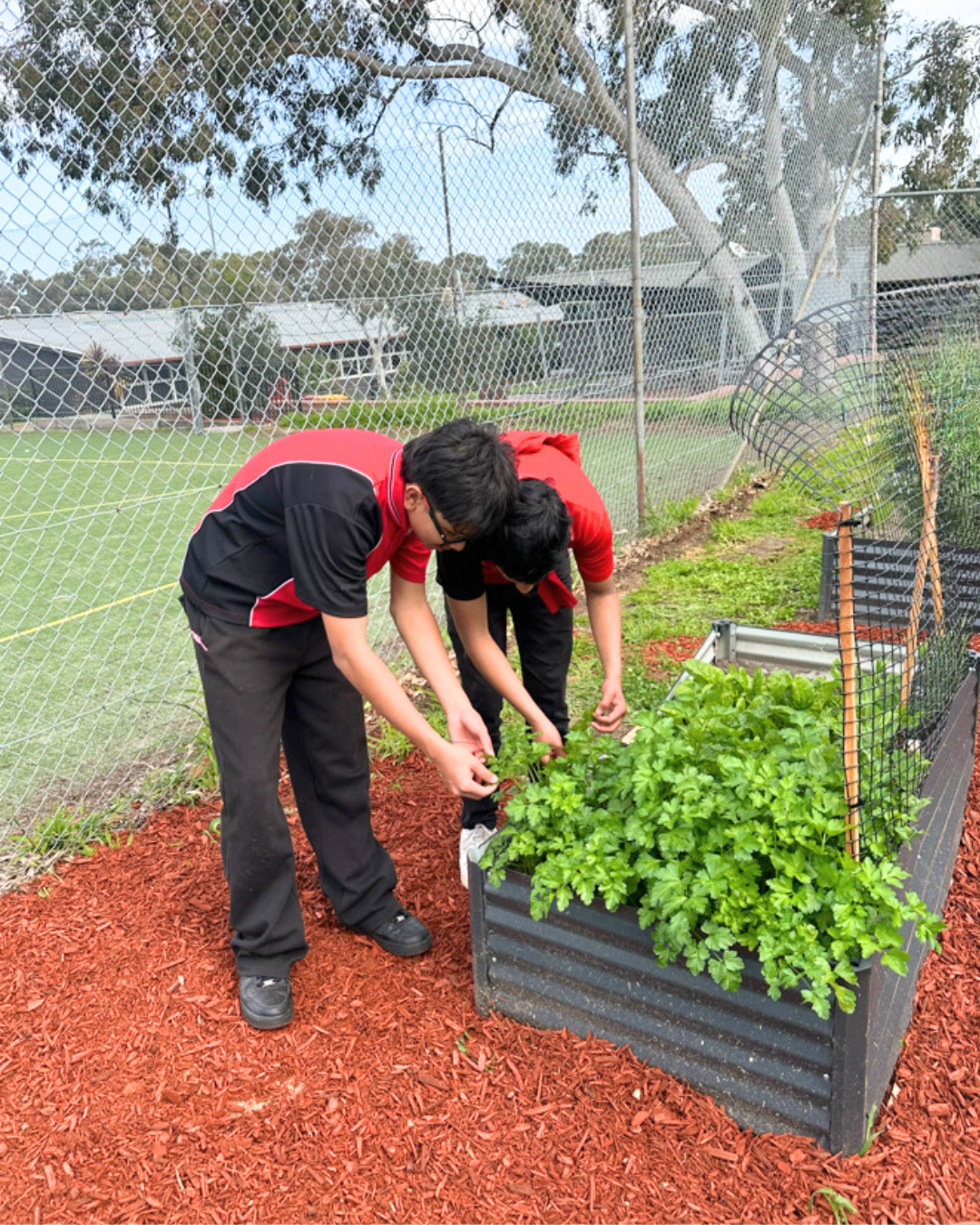 TERRI Garden 2026