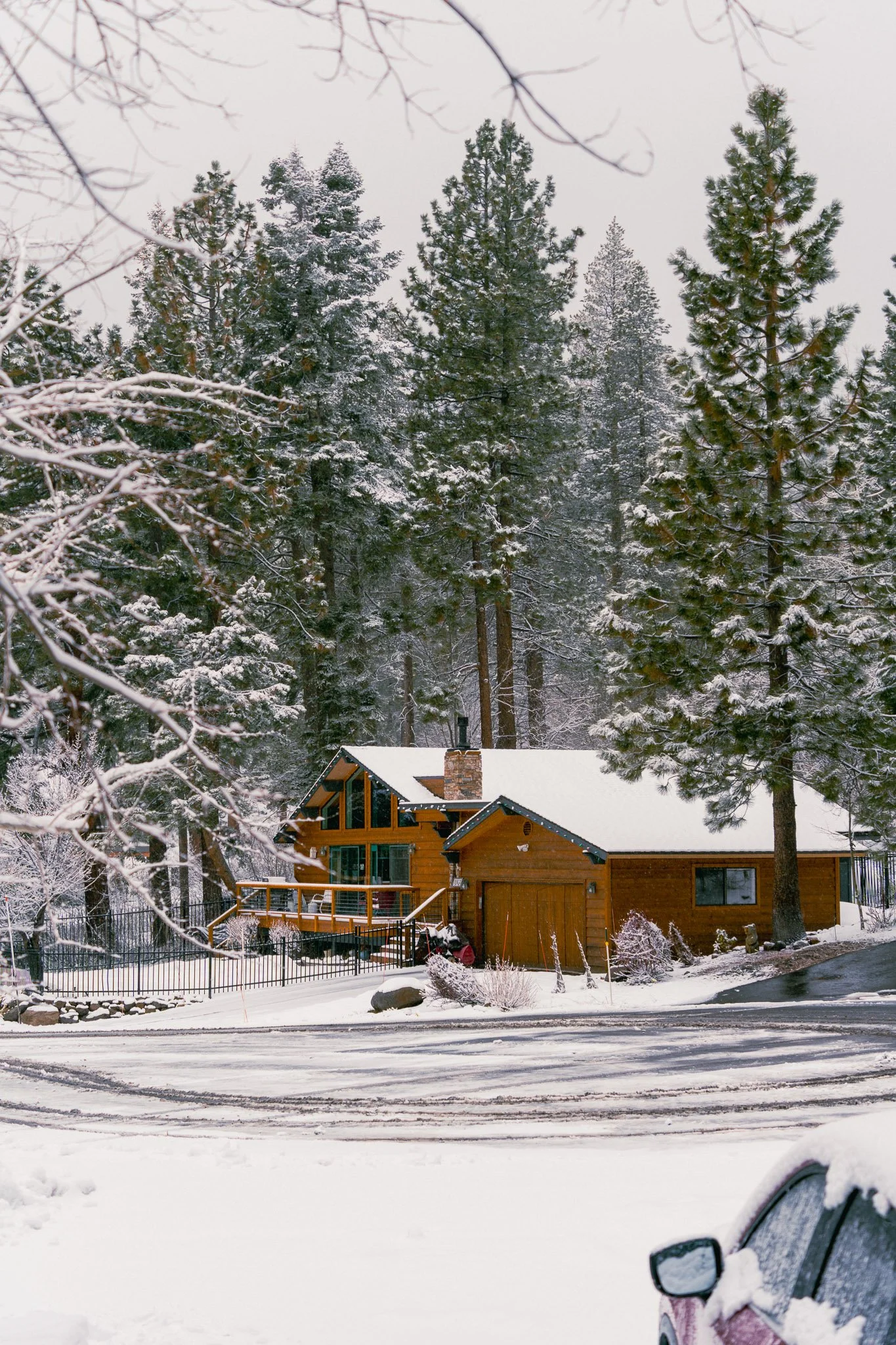 A wooden house with a snow-covered roof surrounded by tall evergreen trees in a snowy landscape.