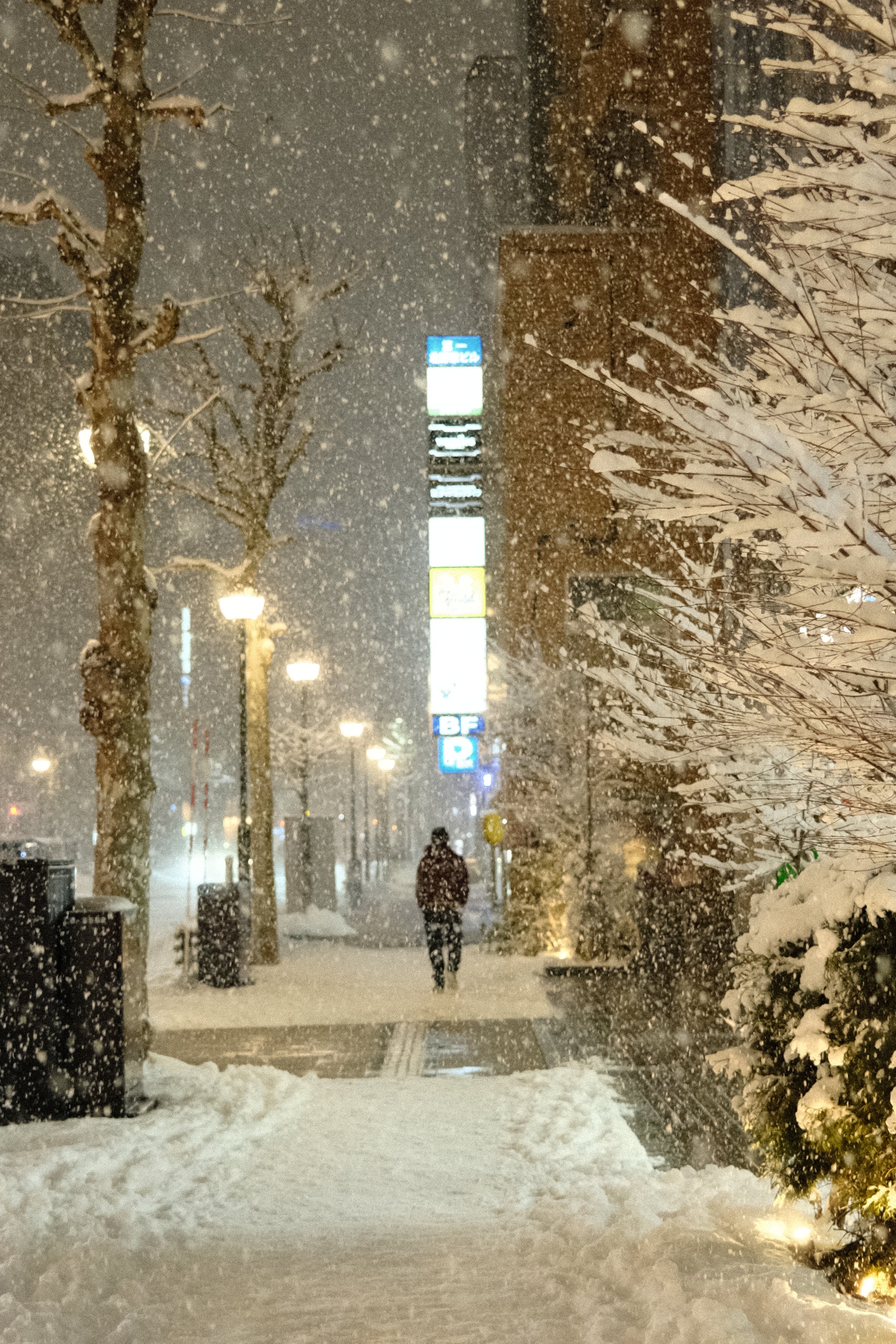A person walking on a snowy sidewalk at night during a snowstorm, with snow-covered trees and illuminated streetlights.