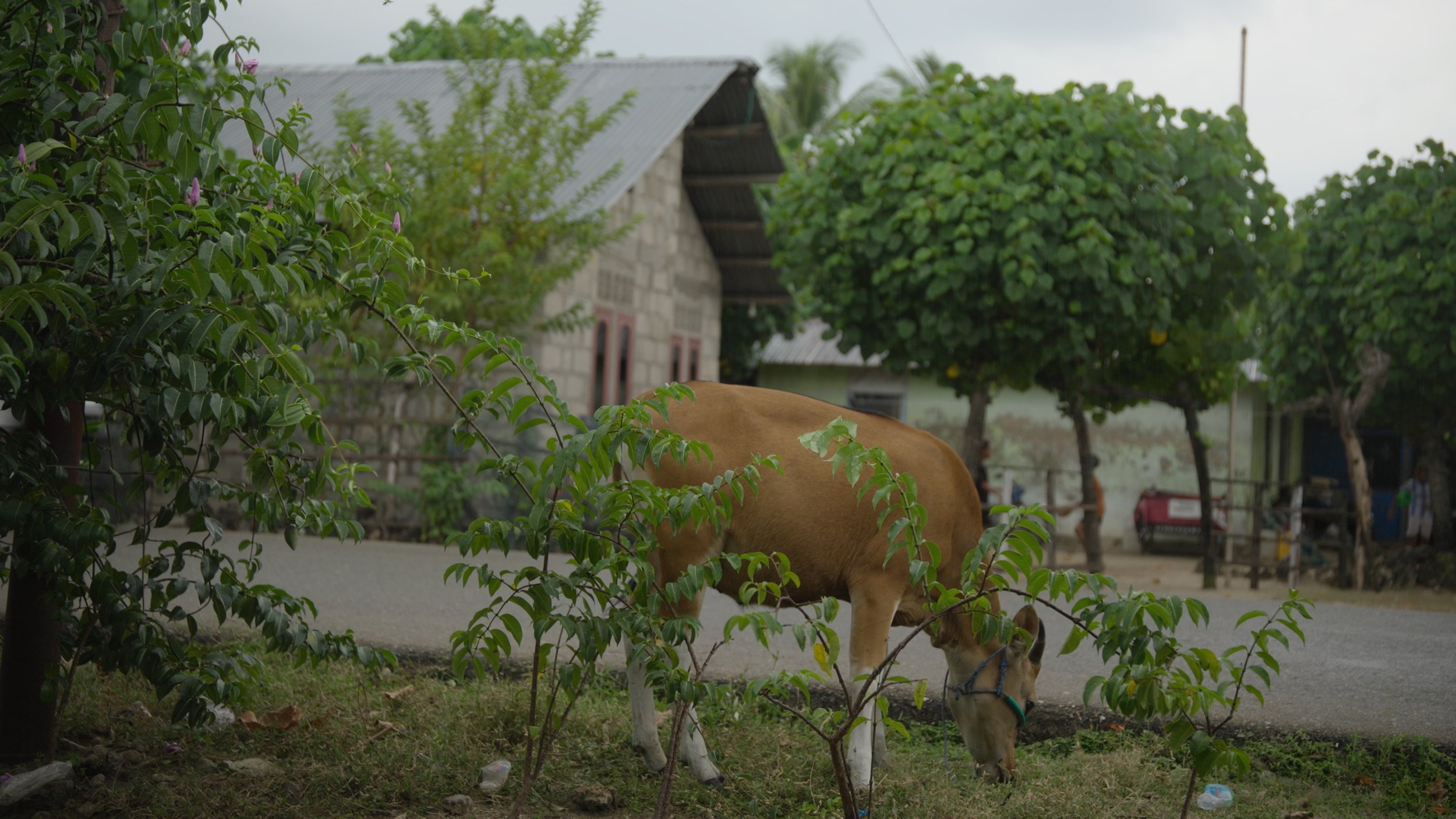Rough Cut 9_UNW Edits.00_07_11_14.Still024.jpg