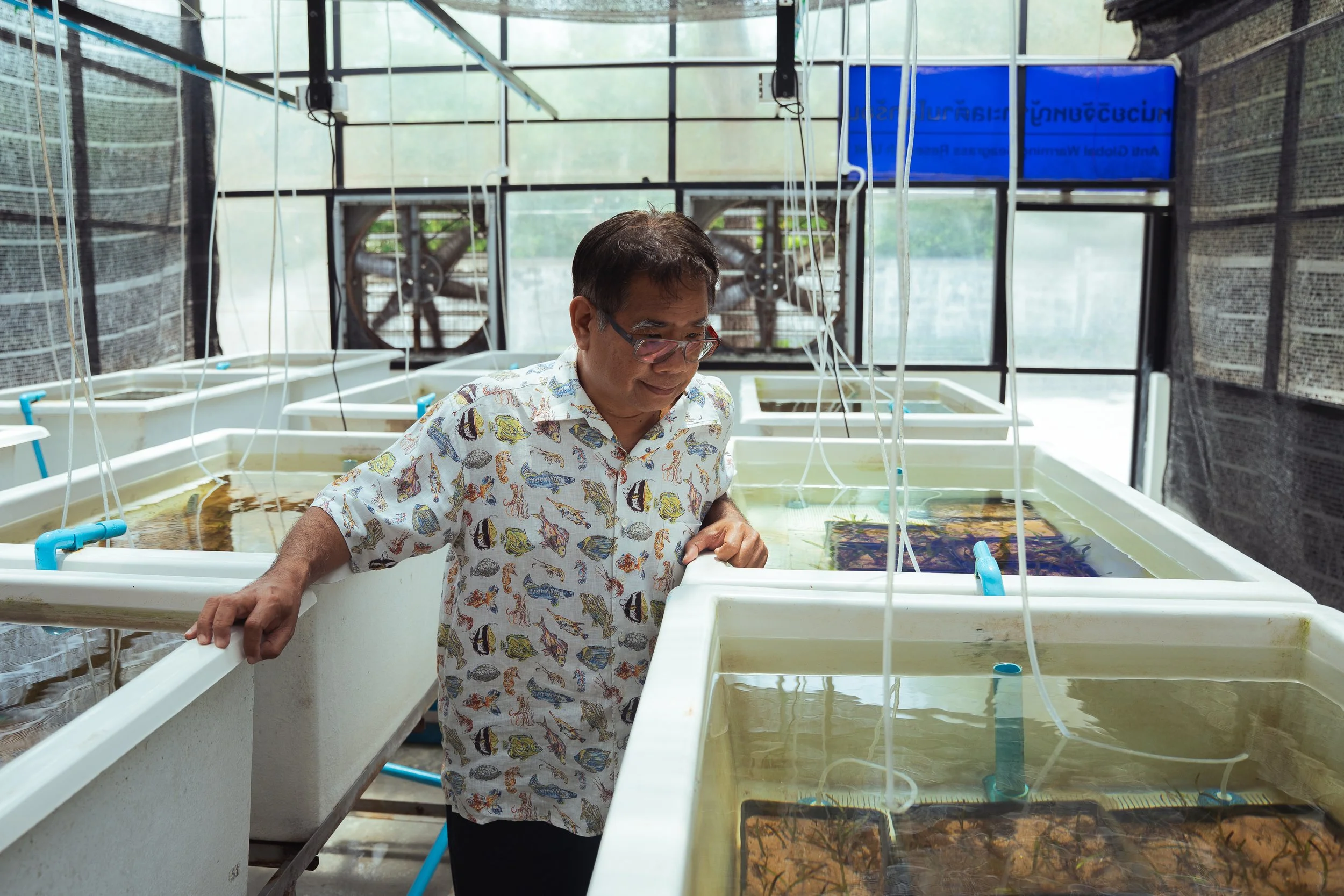 Dugongs Thailand_Mailee Osten-Tan-14.jpg