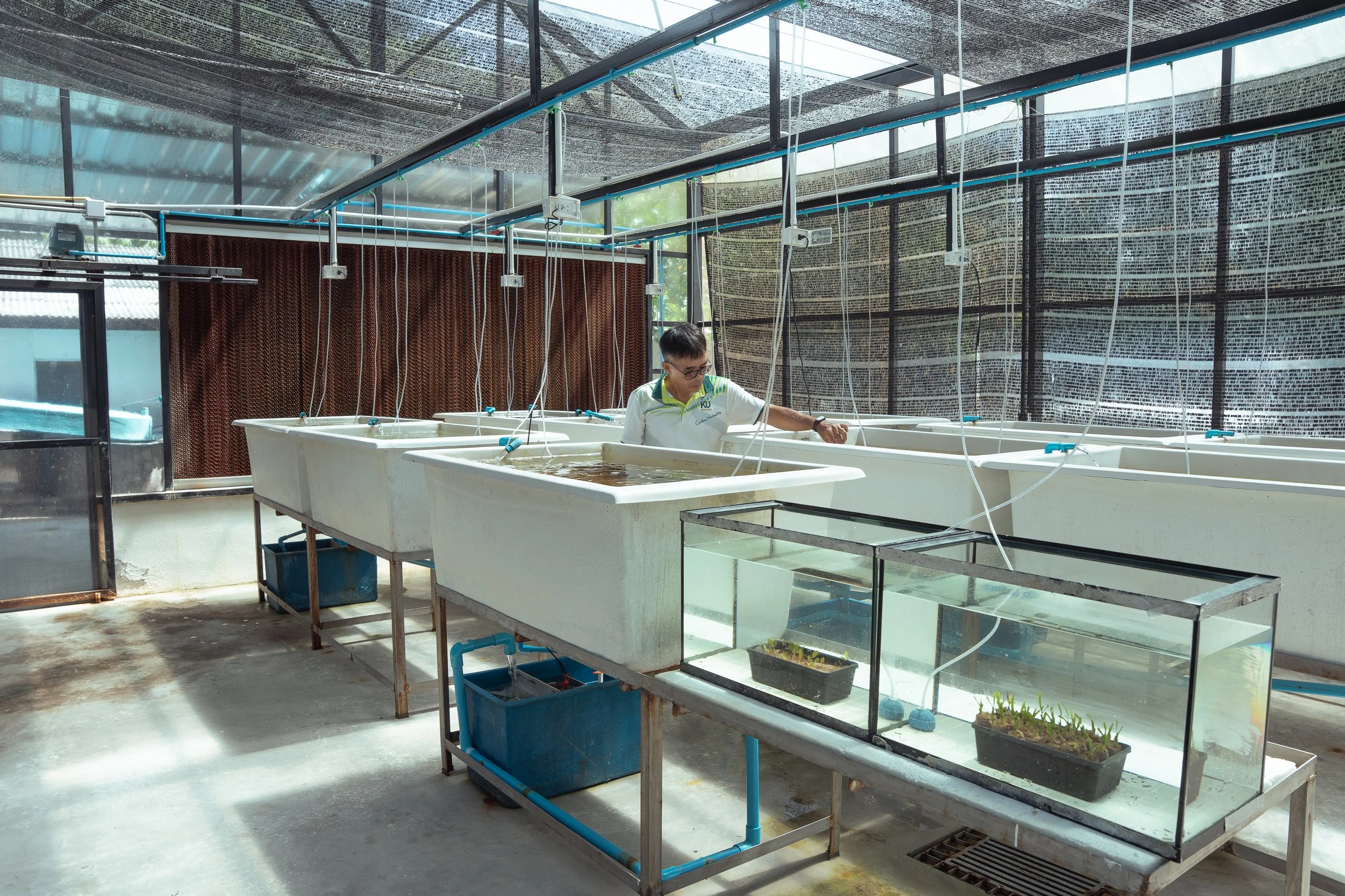 Dugongs Thailand_Mailee Osten-Tan-17.jpg