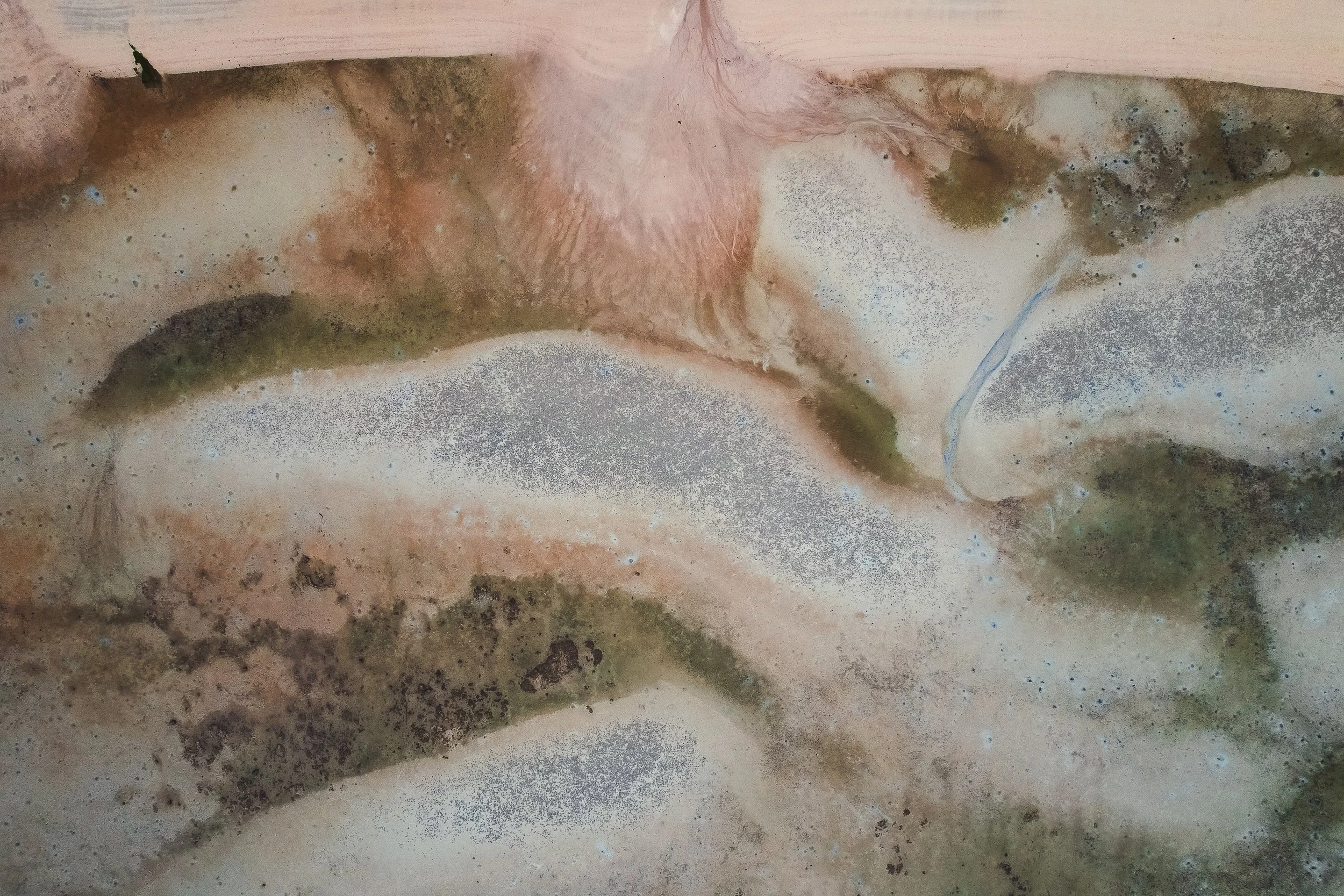 Dugongs Thailand_Mailee Osten-Tan-12.jpg