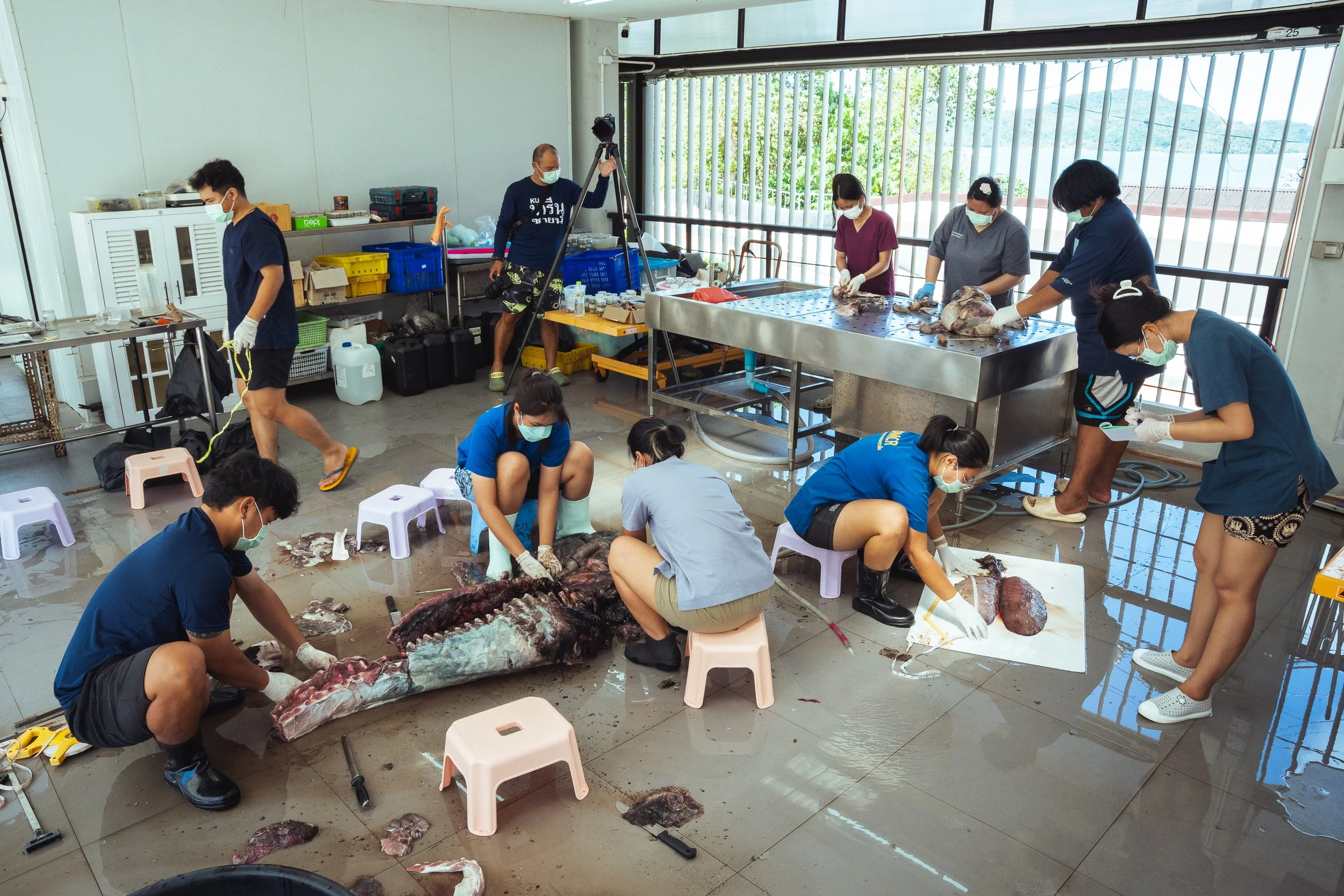 Dugongs Thailand_Mailee Osten-Tan-28.jpg