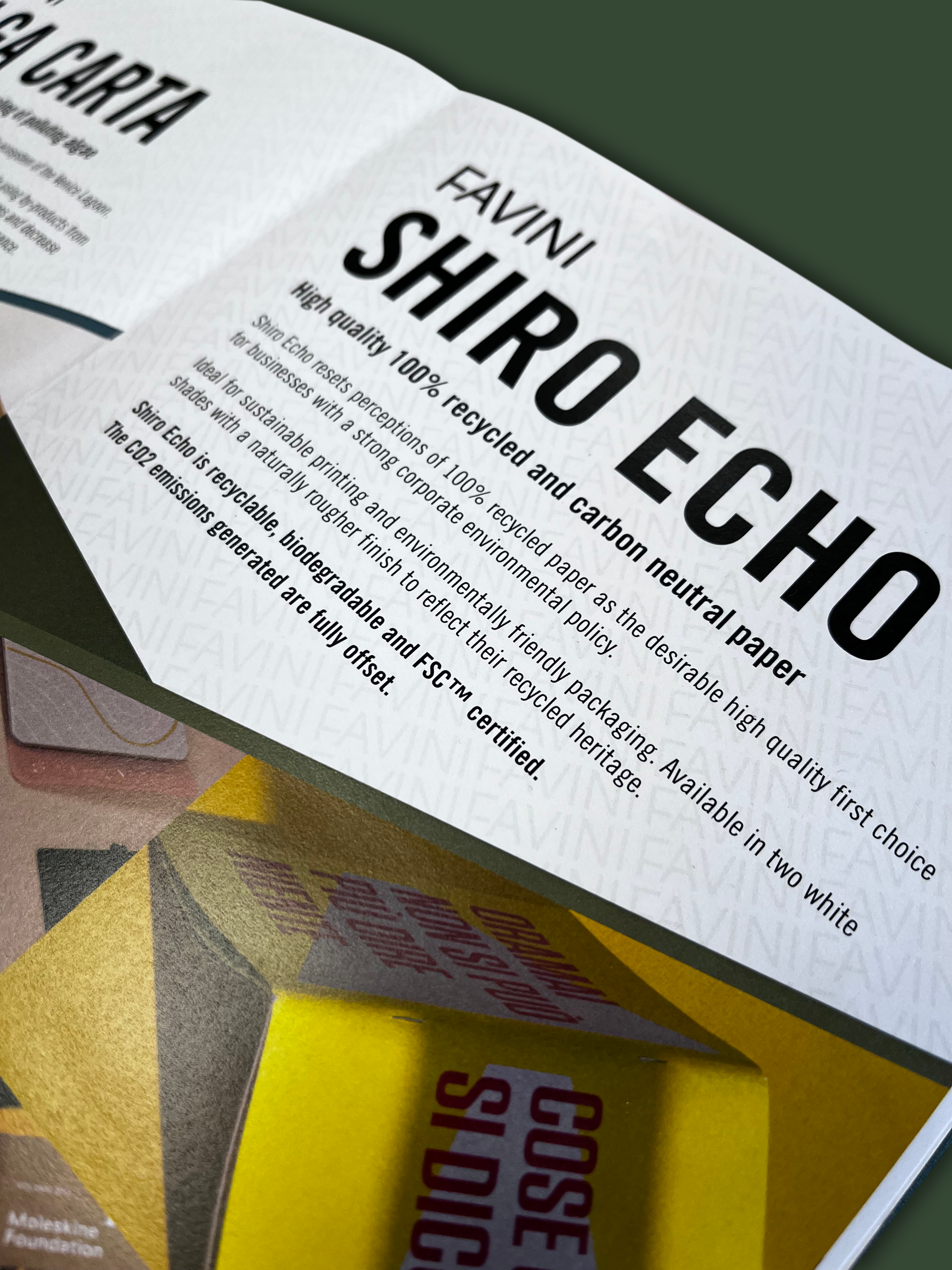 shiro_page.png