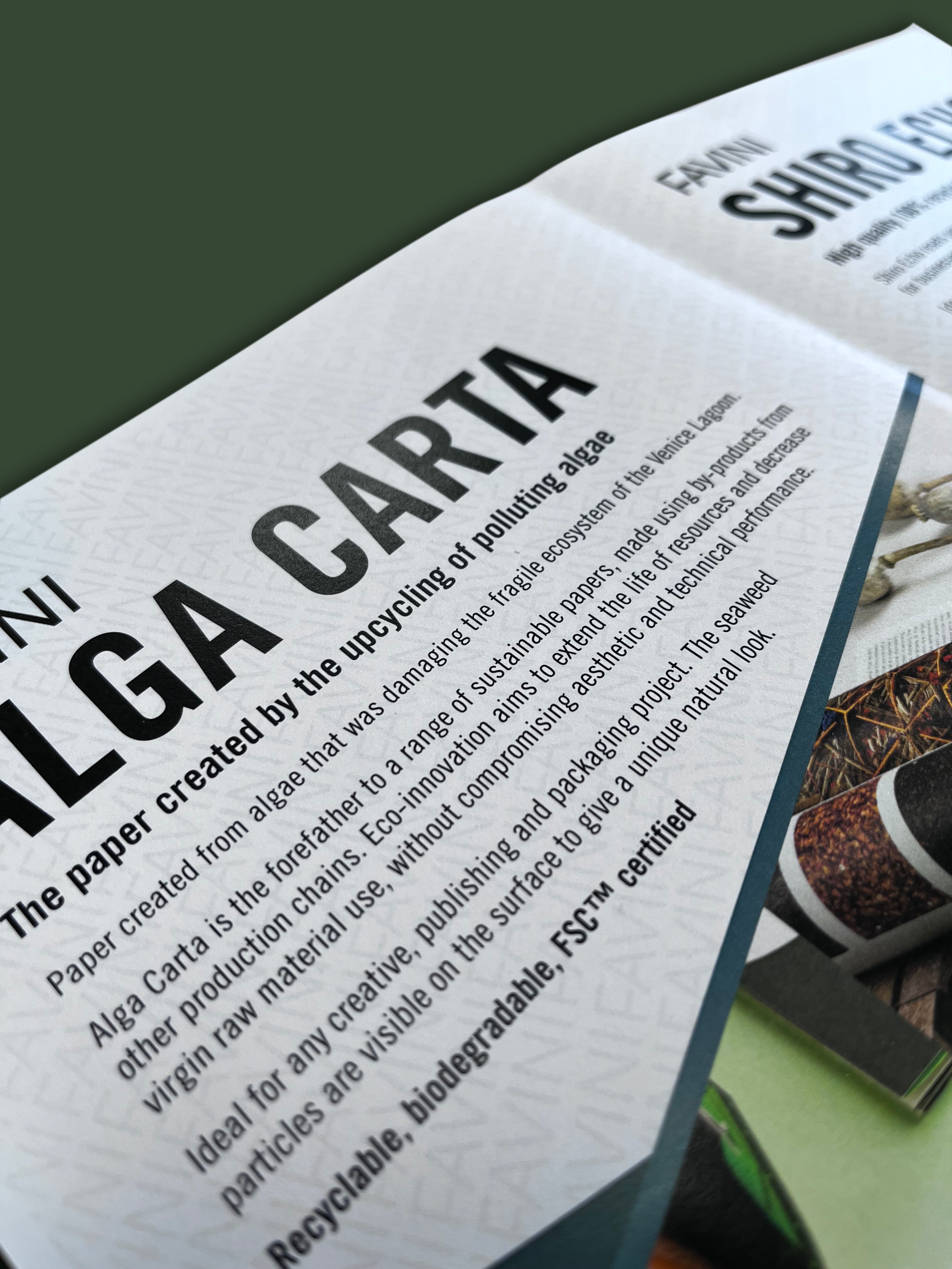 alga_carta.png