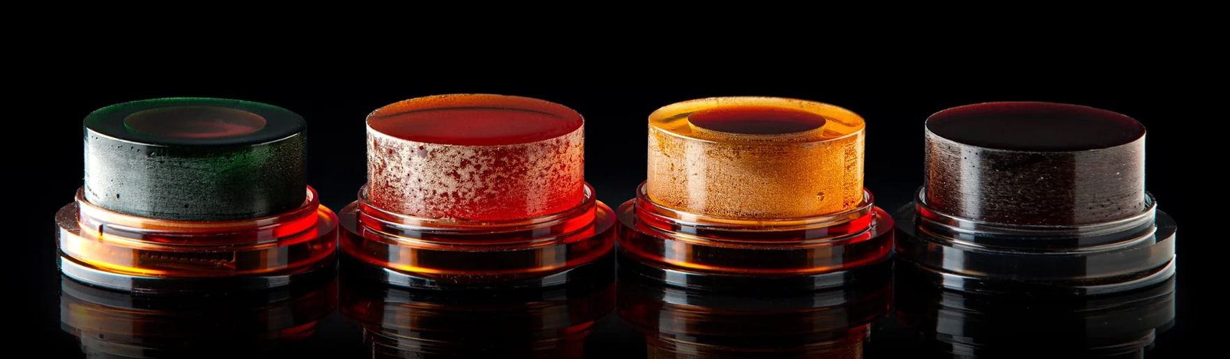 The Cecilia Rosin Collection