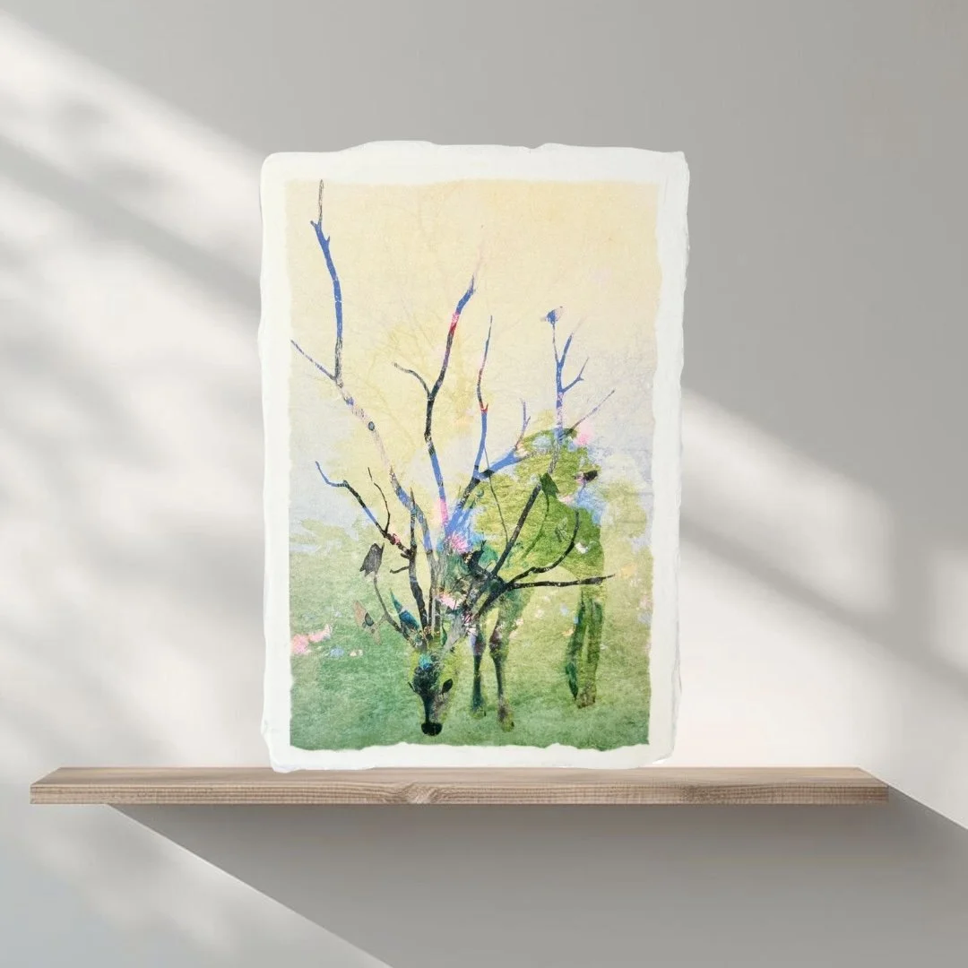 Présences #3 - Edition de Printemps !