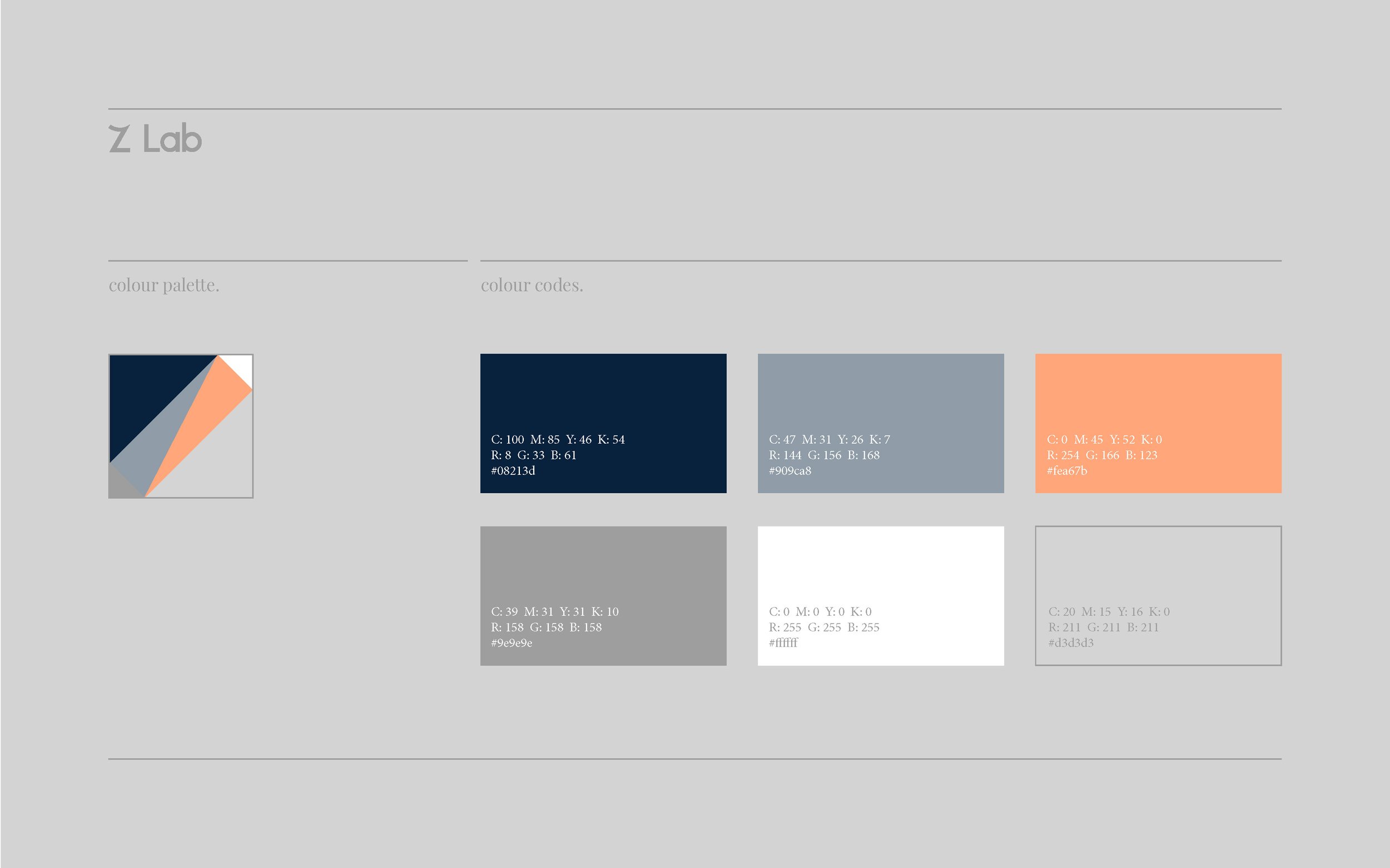 Z Lab Brand Guidelines_Page_07.jpg