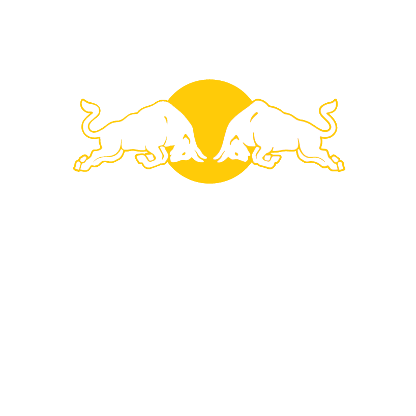 RedBull-Studios copy.png