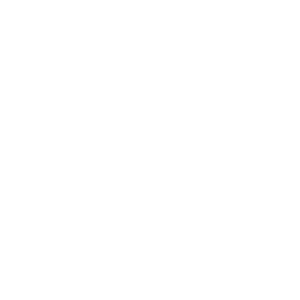 doodah_logo-1.png