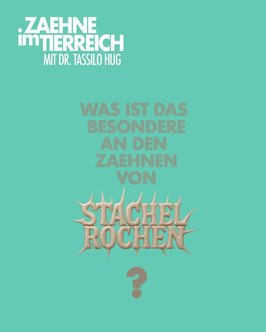 𝐄𝐢𝐧 𝐩𝐞𝐫𝐟𝐞𝐤𝐭𝐞𝐬 𝐌𝐚𝐡𝐥𝐰𝐞𝐫𝐤
Stachelrochen haben keine spitzen Zähne wie Raubfische. Stattdessen besitzen sie plattenartige Kauplatten, die harte Muscheln, Schnecken und Krebstiere zerdrücken können.
Die Zähne wach