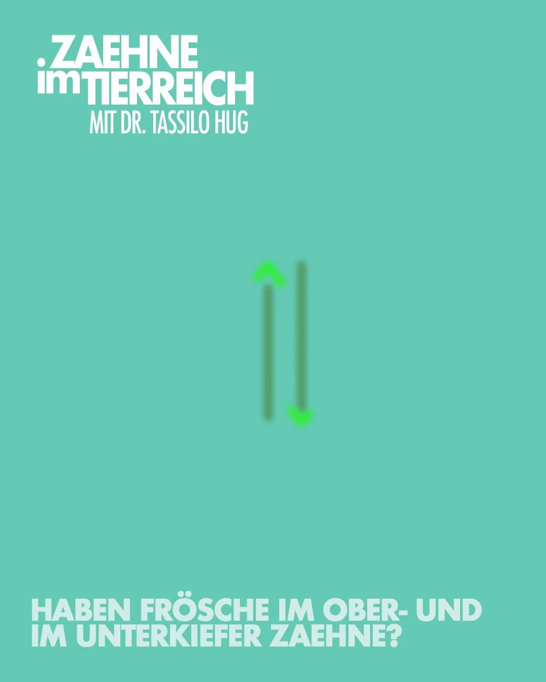 𝐍𝐚 𝐤𝐥𝐚𝐫 𝐡𝐚𝐛𝐞𝐧 𝐬𝐢𝐞 𝐙𝐚̈𝐡𝐧𝐞! 🐸
Und die zeigen erstaunlich gro&szlig;e Wirkung. Fr&ouml;sche besitzen feine, spitze Z&auml;hne &ndash; allerdings nur im Oberkiefer. Damit halten sie Insekten und andere kleine Beutetiere fest, bis sie 