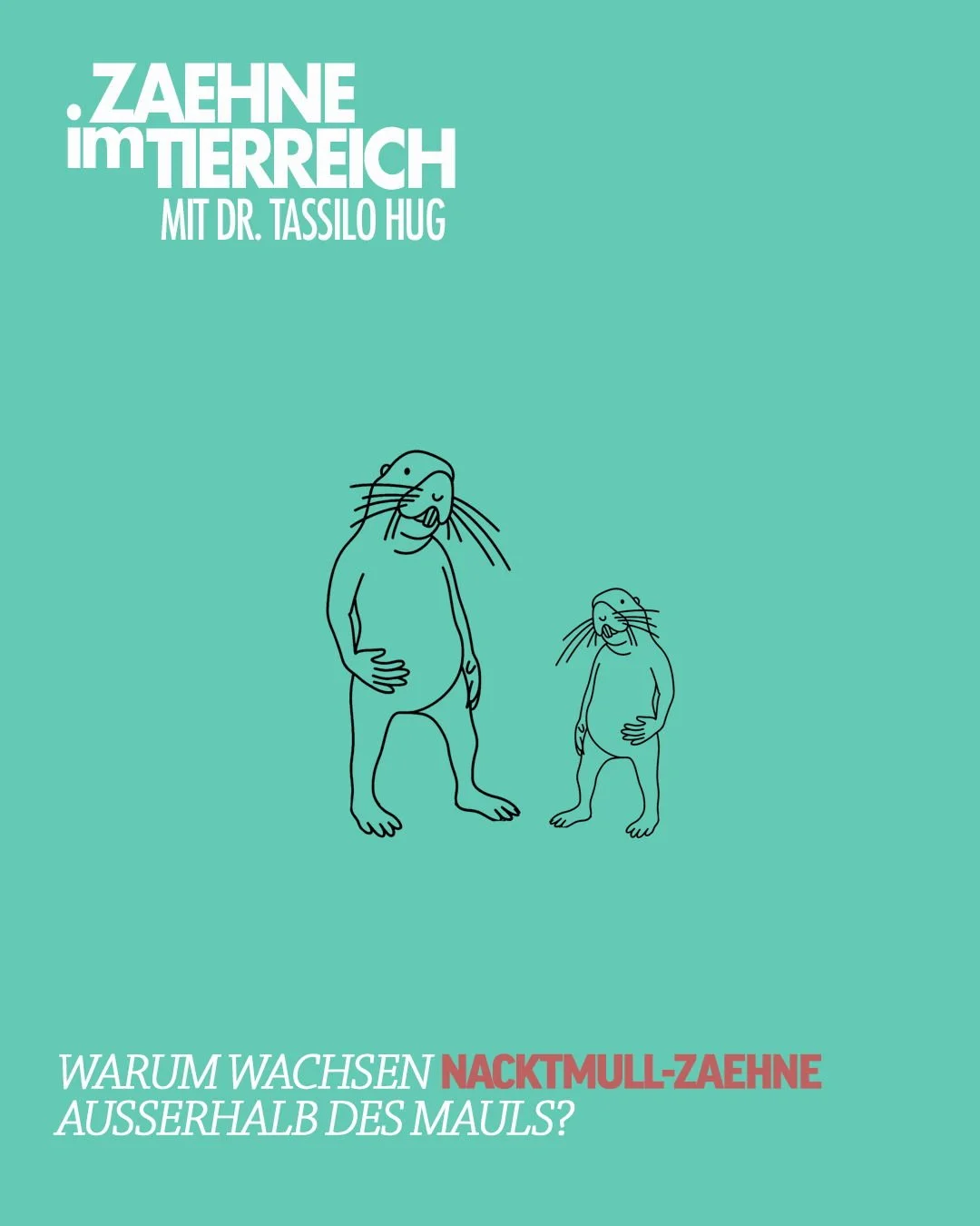 𝗦𝗽𝗲𝘇𝗶𝗮𝗹𝗶𝘀𝘁𝗲𝗻 𝗶𝗺 𝗨𝗻𝘁𝗲𝗿𝗴𝗿𝘂𝗻𝗱
Nacktmulle besitzen &uuml;bergro&szlig;e Schneidez&auml;hne, die au&szlig;erhalb der Lippen stehen! Warum? Weil ihre Z&auml;hne ihr wichtigstes Werkzeug sind. Nacktmulle graben ihre kilometerlangen T