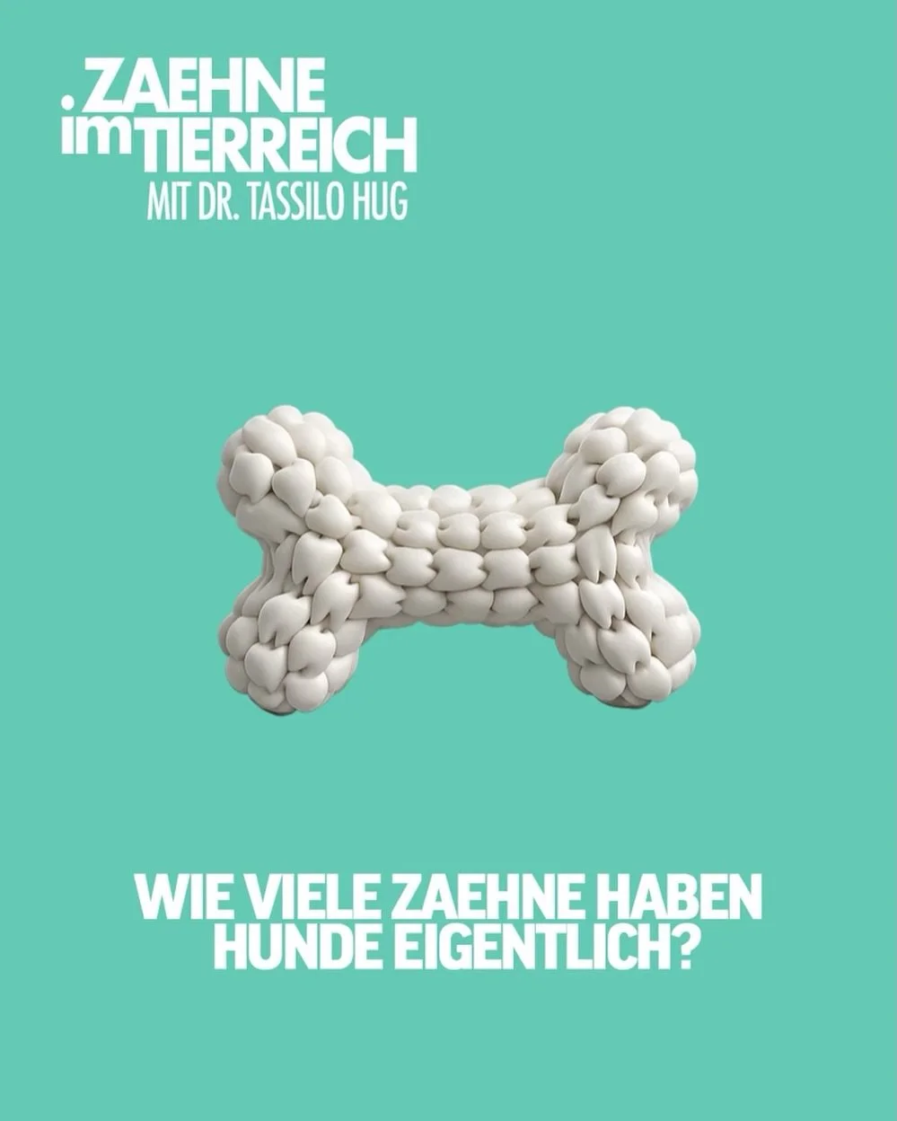 𝗧𝗿𝗲𝘂𝗲𝗿 𝗕𝗲𝗴𝗹𝗲𝗶𝘁𝗲𝗿 𝗺𝗶𝘁 𝘀𝘁𝗮𝗿𝗸𝗲𝗺 𝗕𝗶𝘀𝘀 🐕
Weihnachten ist das Fest der Familie, und in vielen Familien ist der Hund ein fester Bestandteil. Grund genug, unserem vierbeinigen Familienmitglied einmal genauer ins Maul zu schauen.