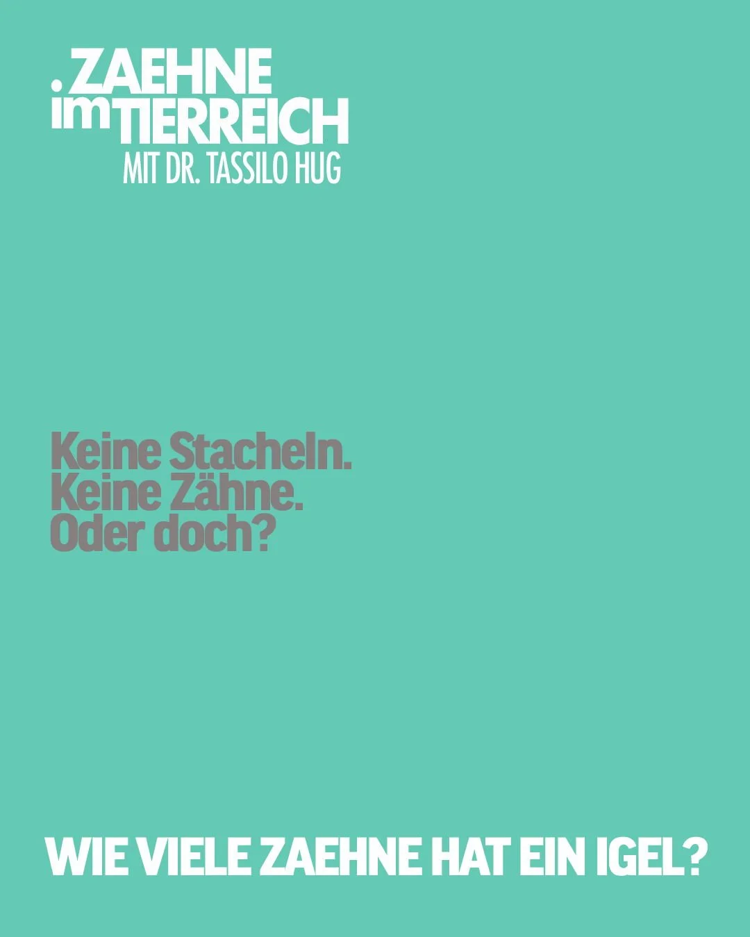 𝐄𝐢𝐧 𝐬𝐭𝐚𝐜𝐡𝐞𝐥𝐢𝐠𝐞𝐫 𝐈𝐧𝐬𝐞𝐤𝐭𝐞𝐧𝐣𝐚̈𝐠𝐞𝐫 🦔 
Der Igel wirkt niedlich und harmlos doch ein Blick in sein Maul zeigt: Er ist ein echter J&auml;ger. Ein ausgewachsener Igel besitzt 36 Z&auml;hne und sein Gebiss ist optimal an seine Ern&
