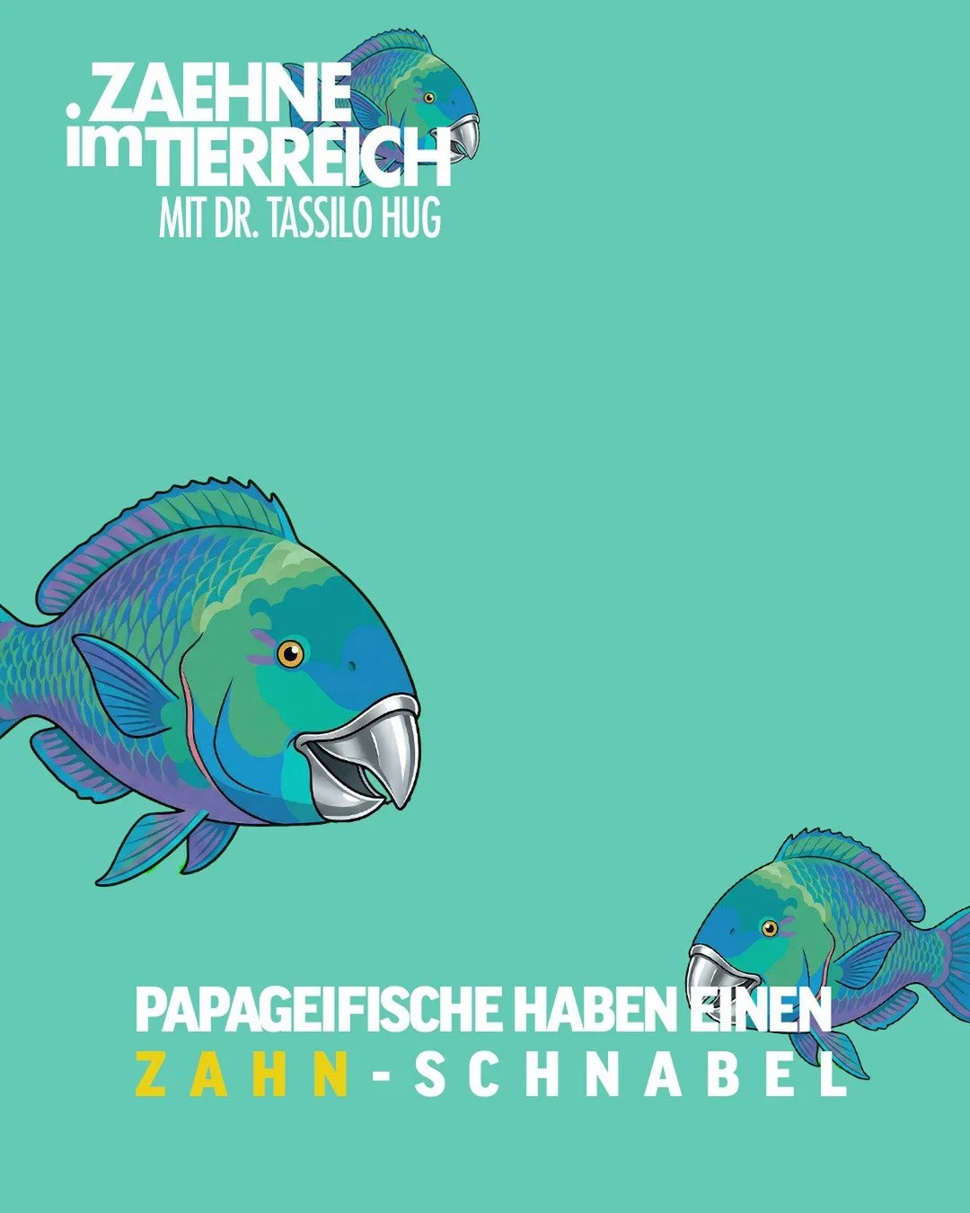 𝐃𝐞𝐧 𝐖𝐞𝐫𝐤𝐳𝐞𝐮𝐠𝐤𝐨𝐟𝐟𝐞𝐫 𝐢𝐦 𝐌𝐚𝐮𝐥 🐠
Auf den ersten Blick wirkt der Papageienfisch bunt und friedlich, doch sein farbenfrohes Schnabelmaul ist ein wahres Wunderwerkzeug: Mit seinen Z&auml;hnen kann er korallenharte Strukturen zerklein