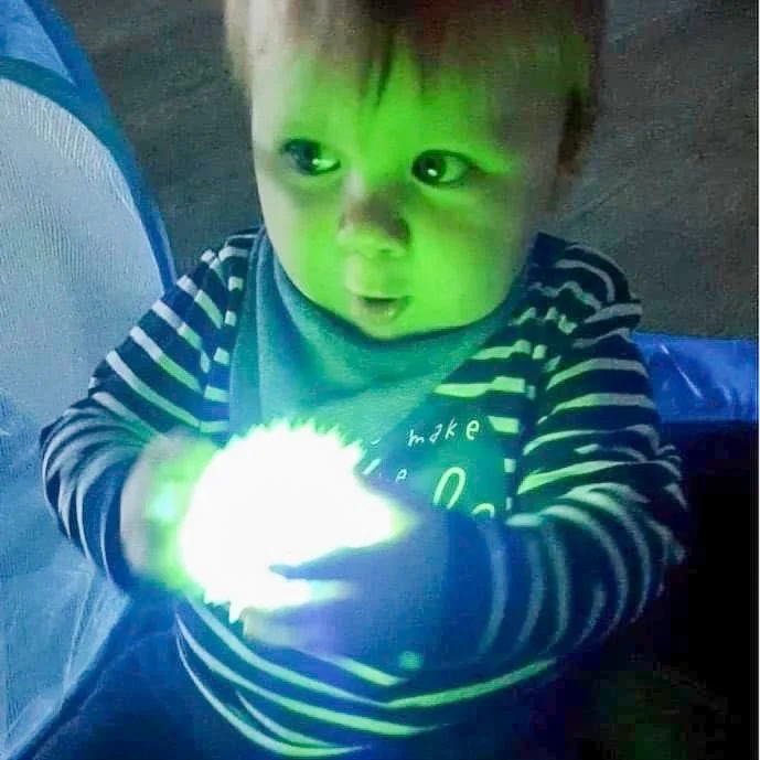 Munchkin and Me-3.jpg