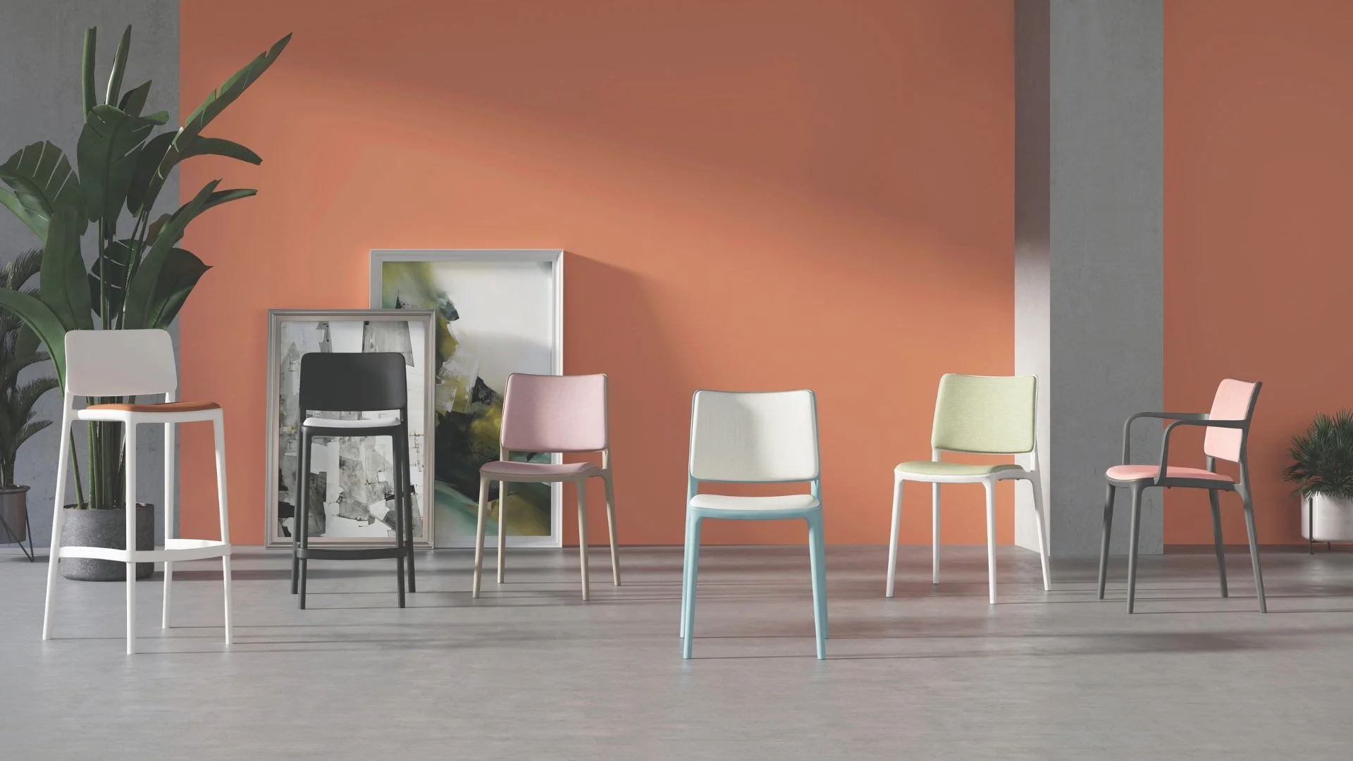 A row of five colorful chairs arranged in front of a pink wall, with large potted plants and framed artwork in the background.