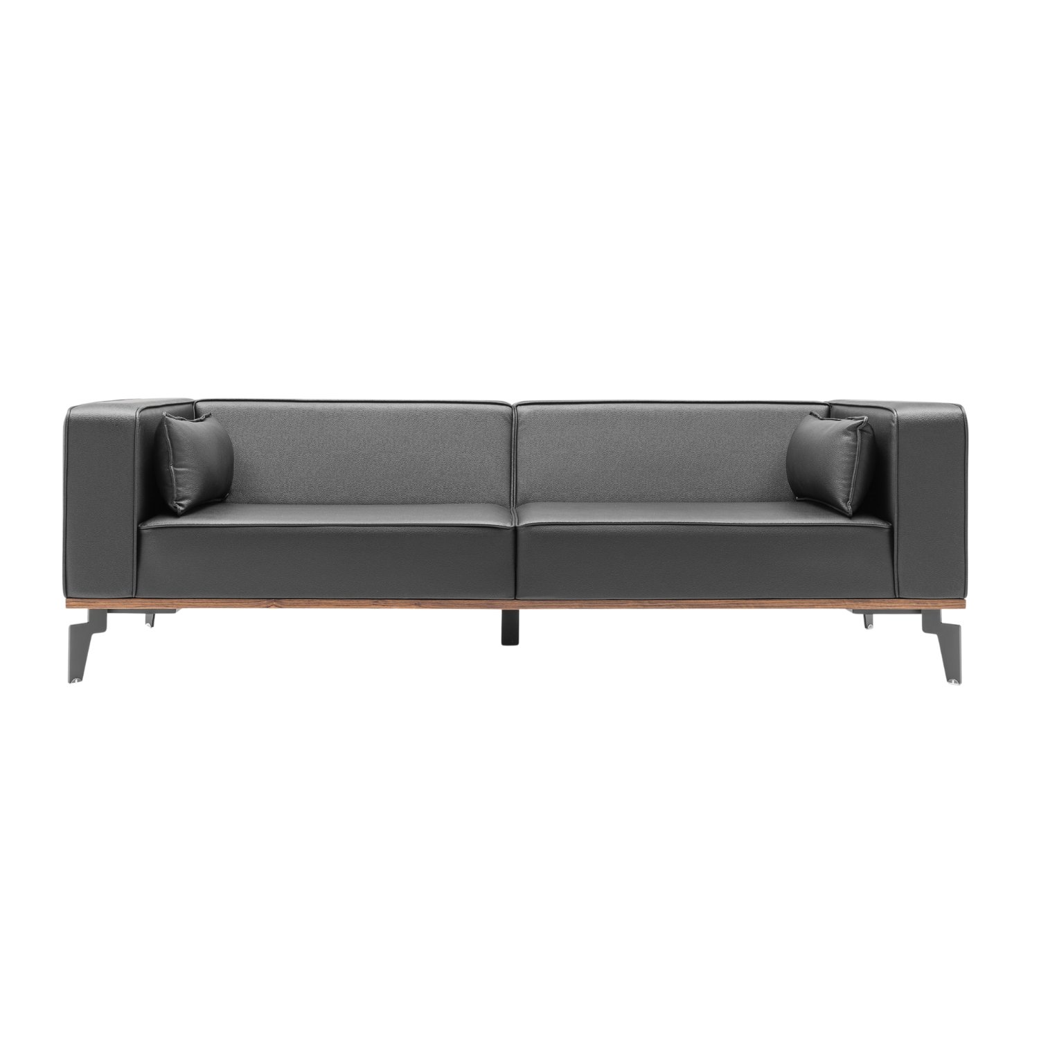 Modern black sofa with wooden legs and two small black pillows