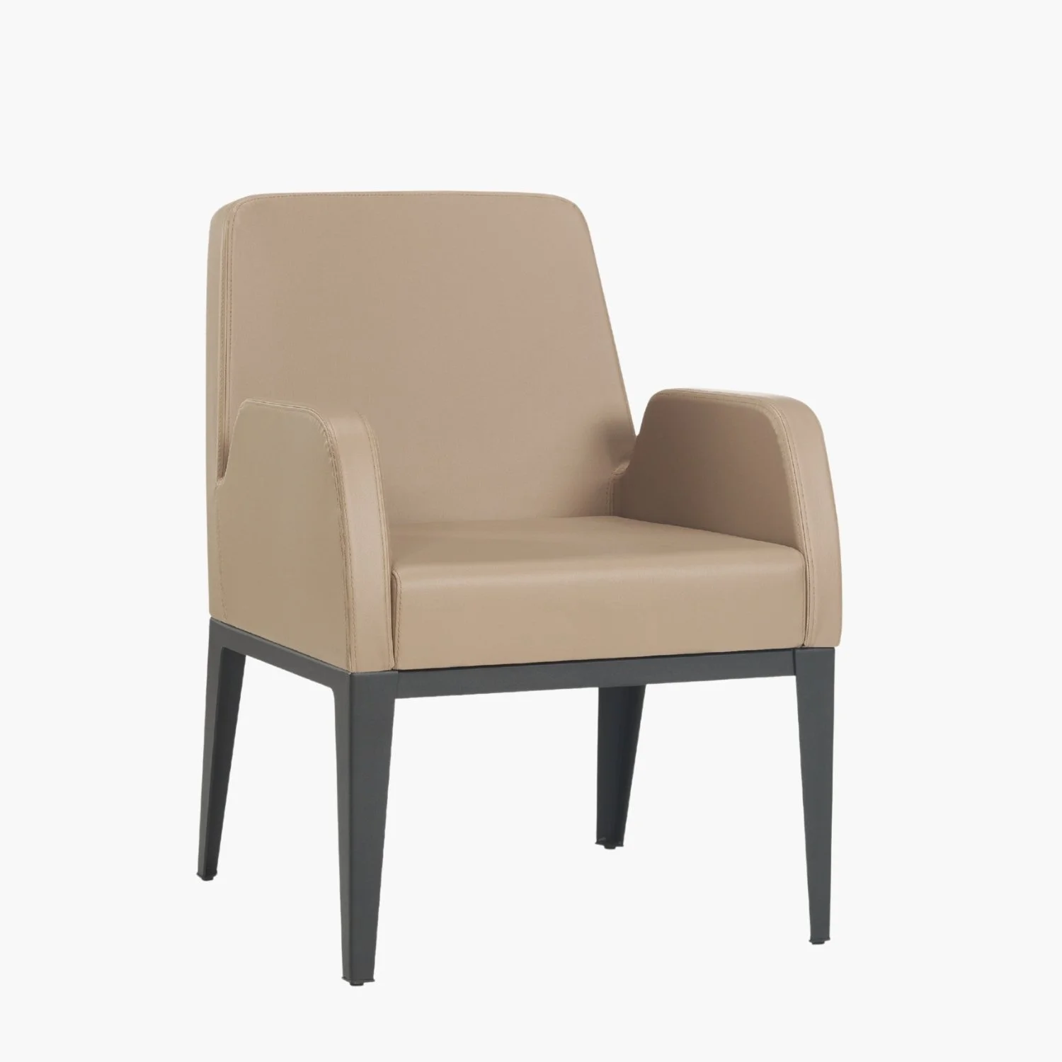 1015B FARO LOUNGE CHAIR.jpg