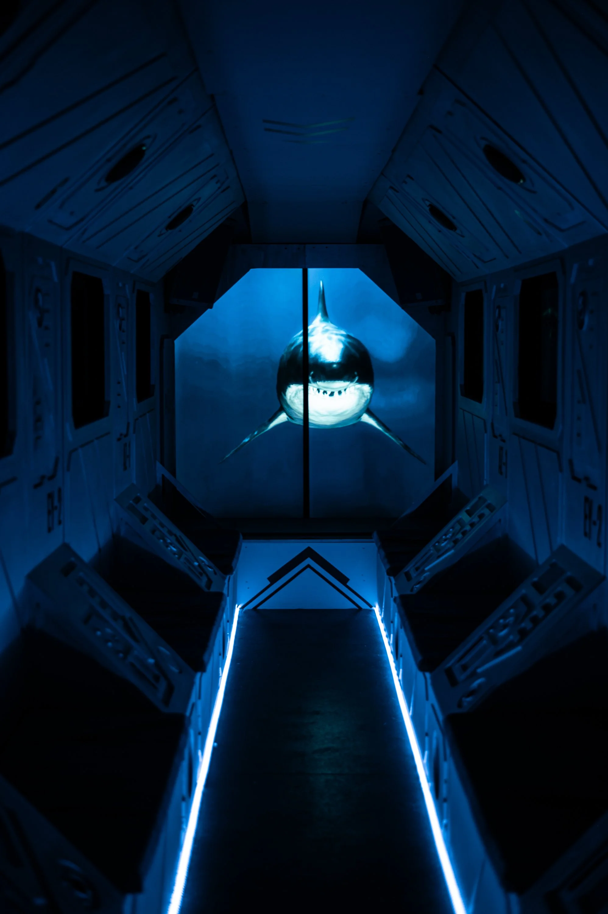 Photography The Deep Blue-21.jpg