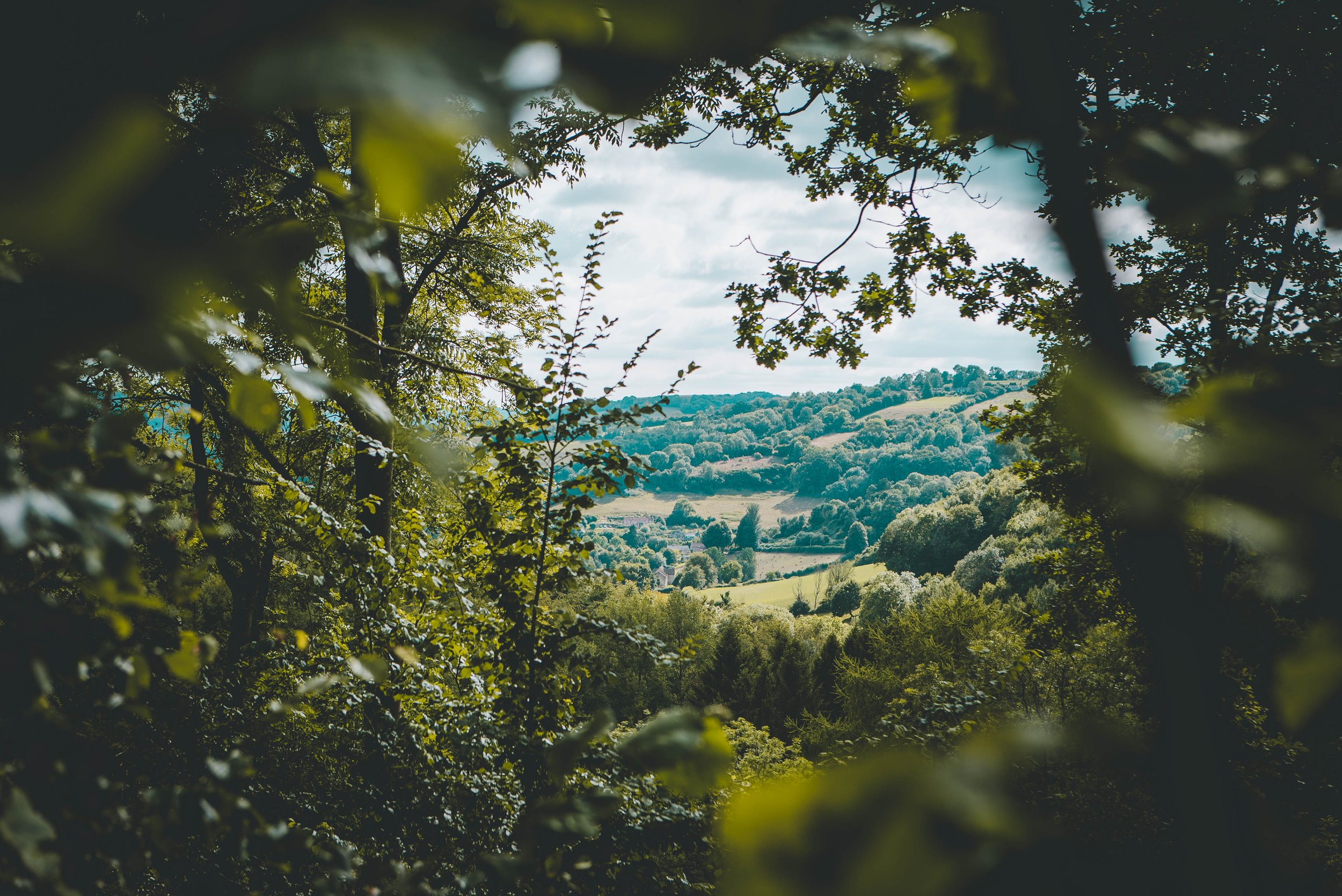 Copy of Valley views.jpg