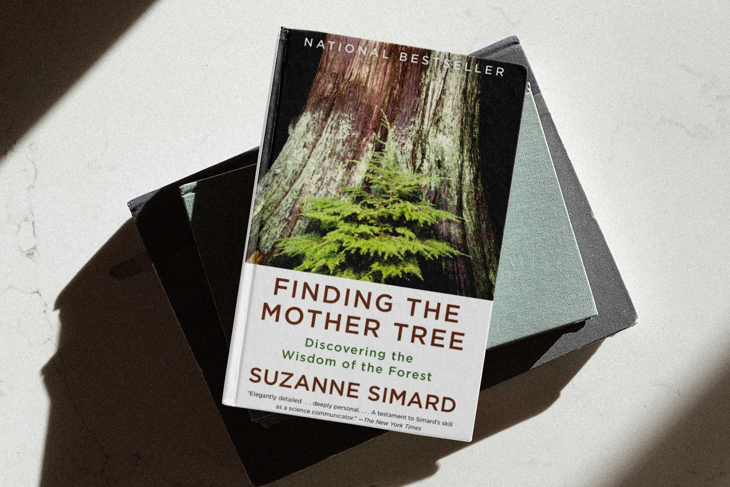 Finding the Mother Tree