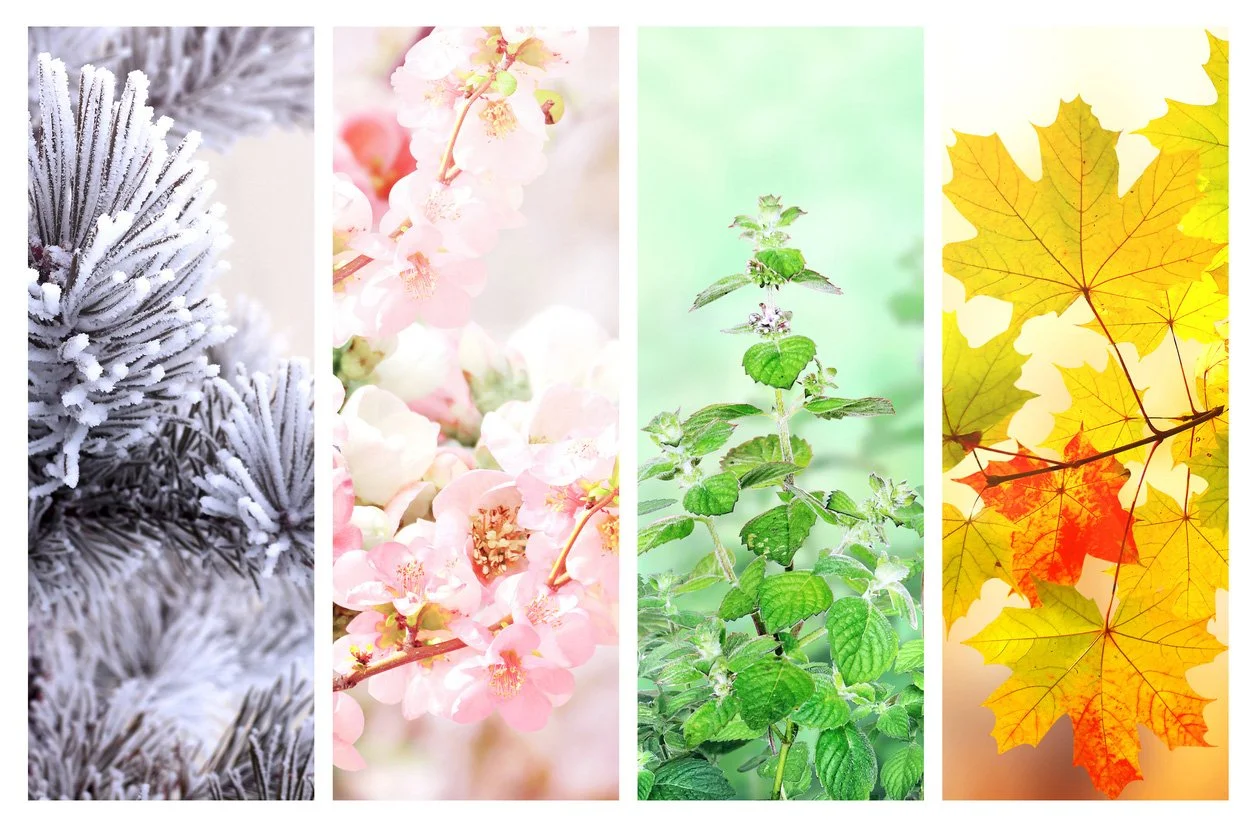 The Beauty of Change