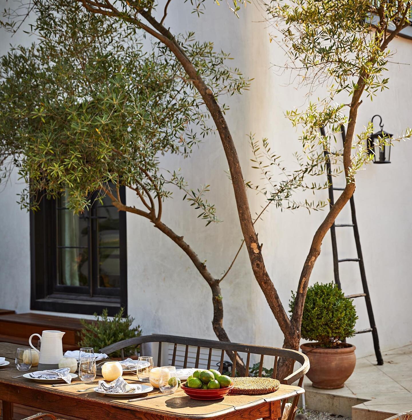 Landscape and hardscape design by @studiojbdinc #landscape #design #hardscape #interiors #agedolivetrees #mediterranean #spanishcolonial #losfeliz #losangeles