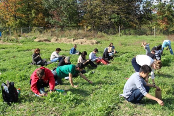 Students participating in the cover crop class.