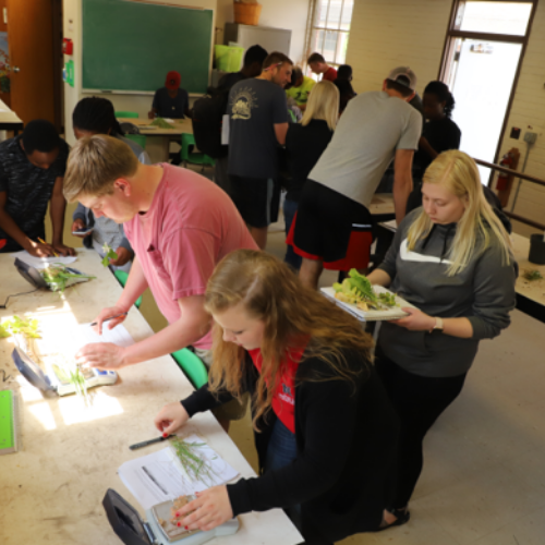 Students participating in the cover crop class.