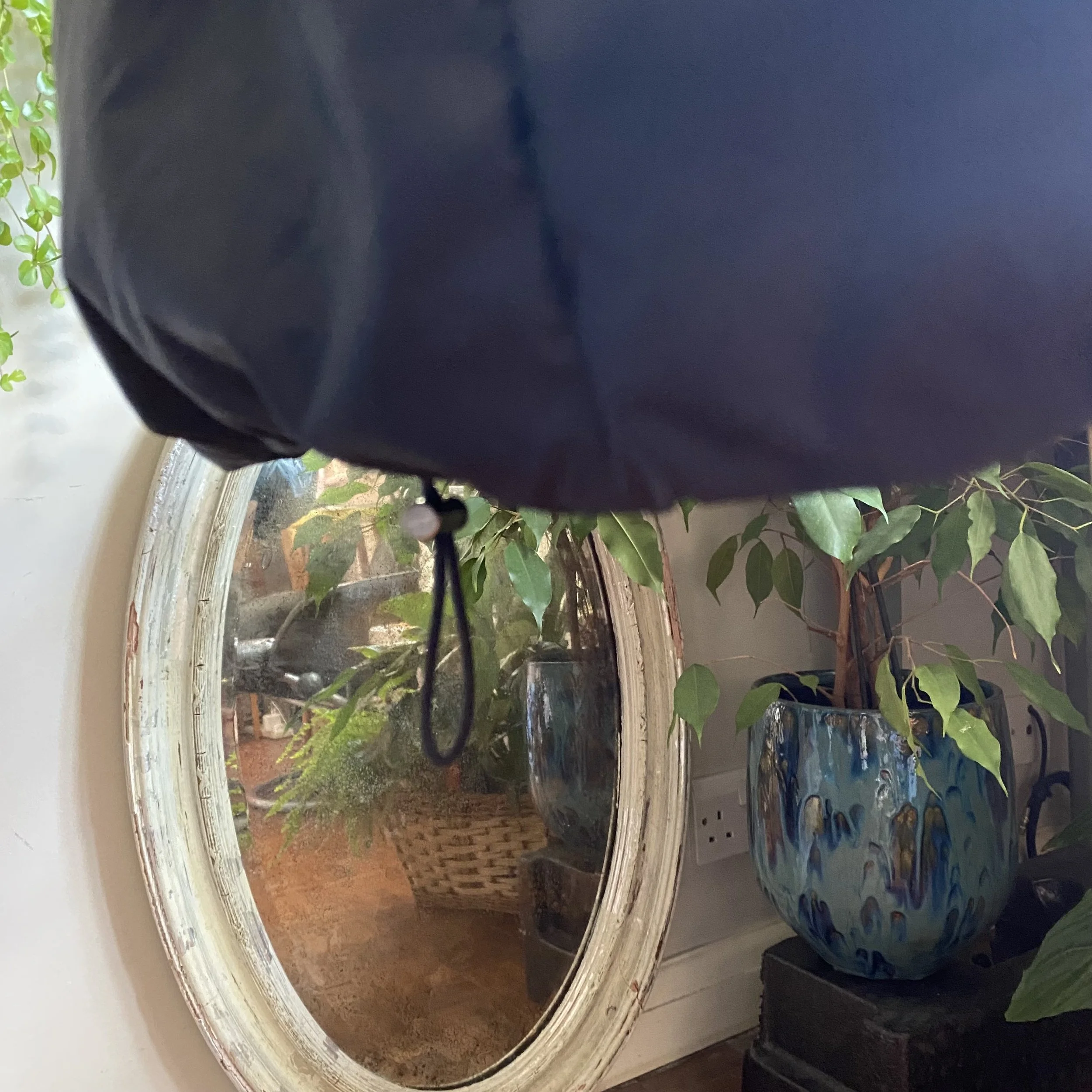IMG_8219.jpeg