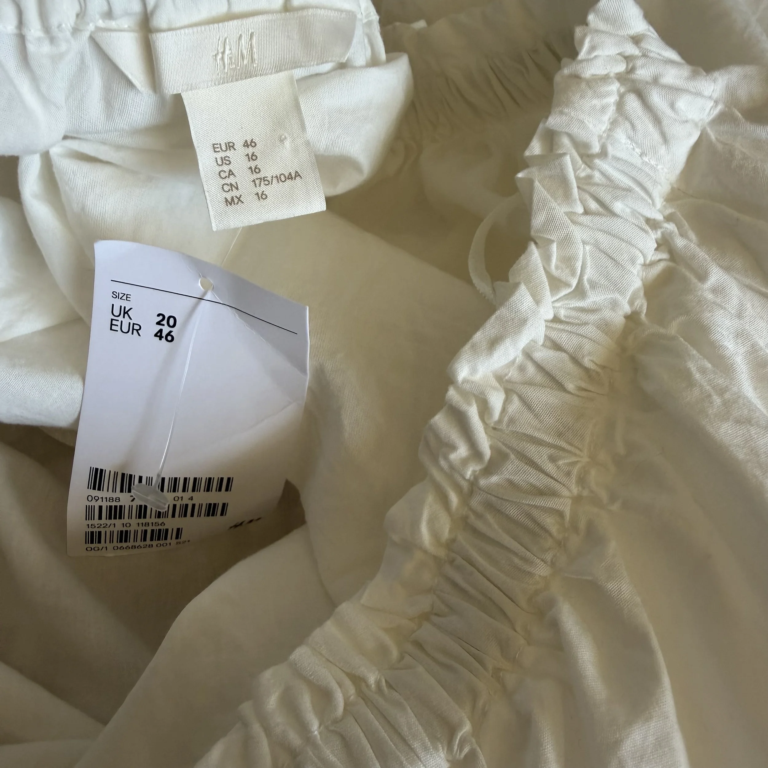 IMG_7336.jpeg