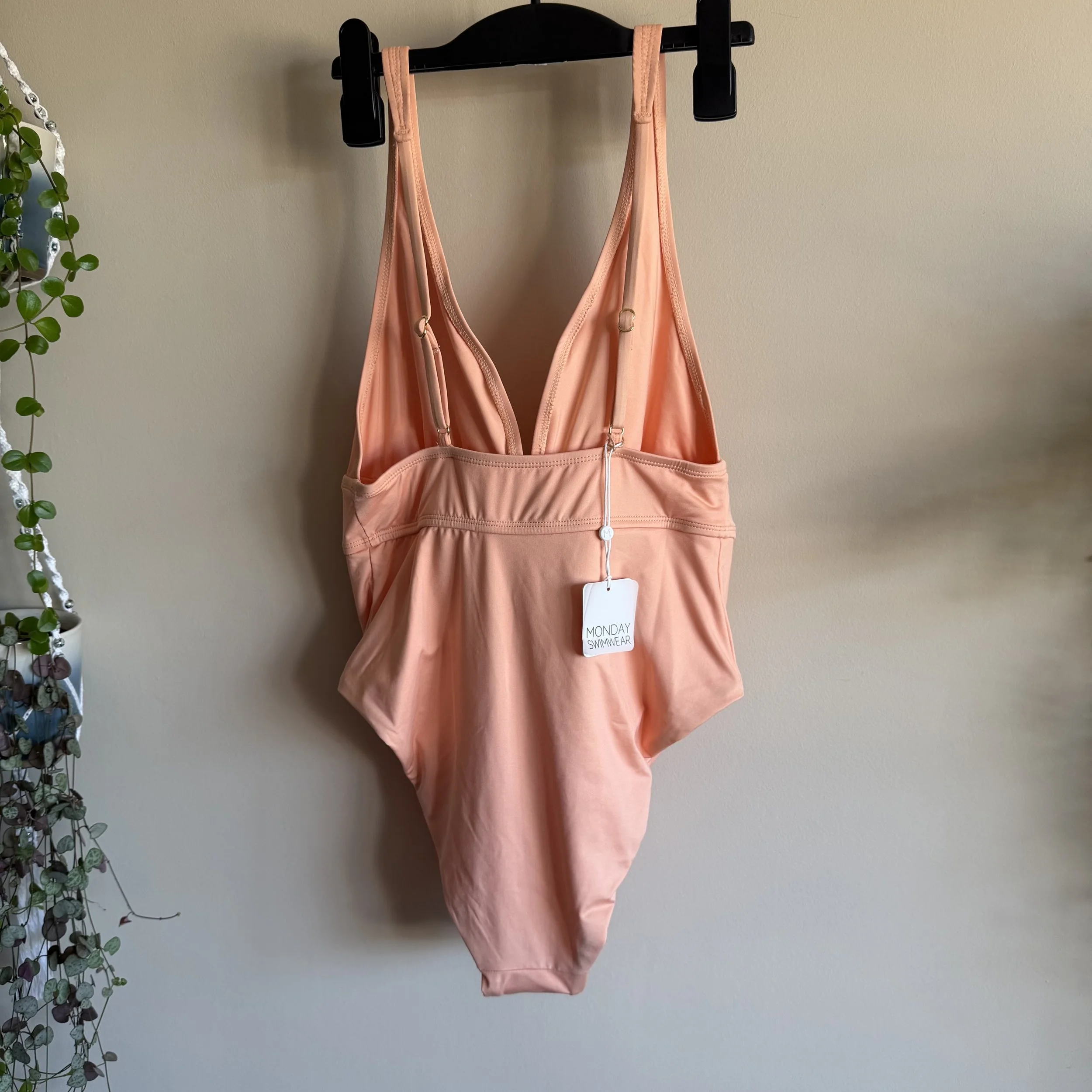 IMG_8007.jpeg