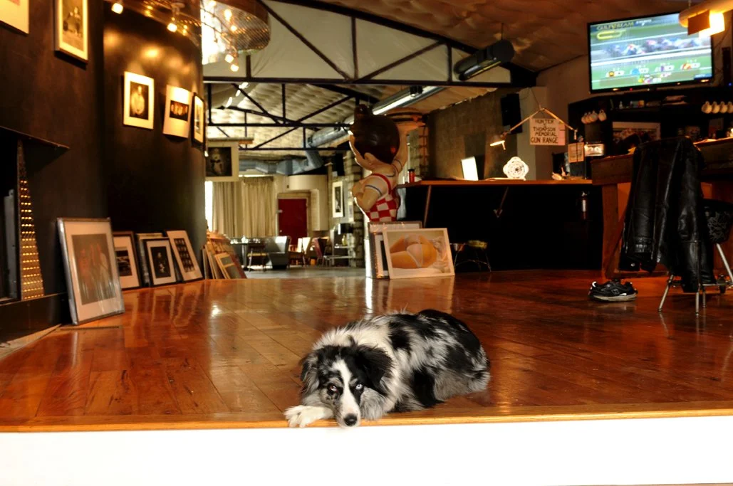 Maude in McGuire studio