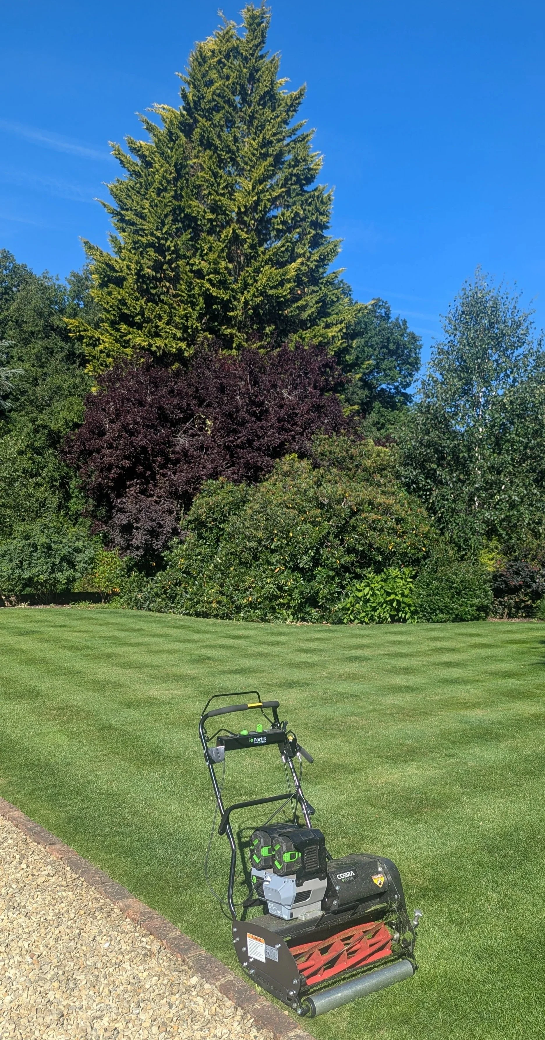 Lawn mower on a well-maintained grassy lawn with trees and a blue sky in the background.