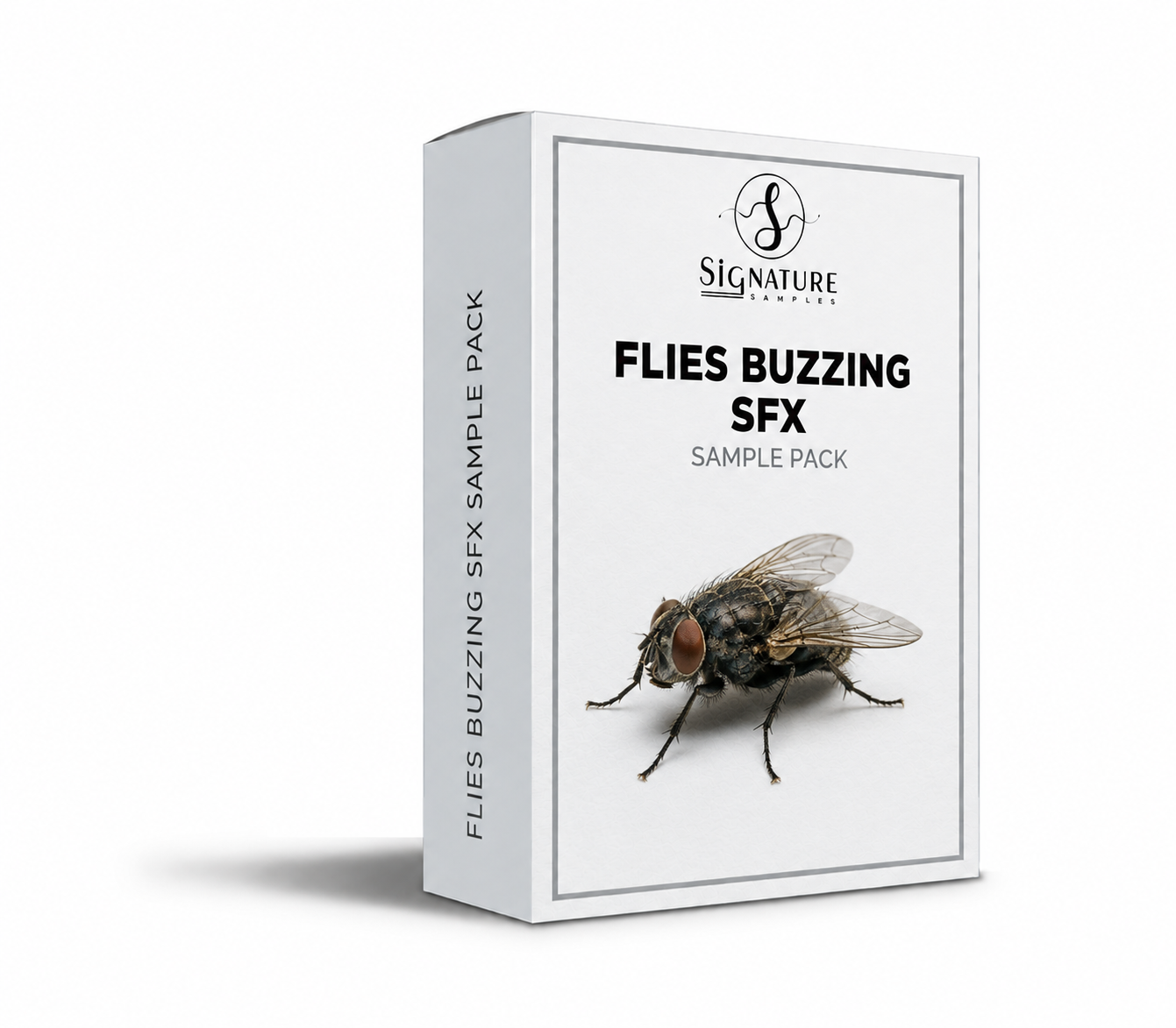 Flies Buzzing SFX