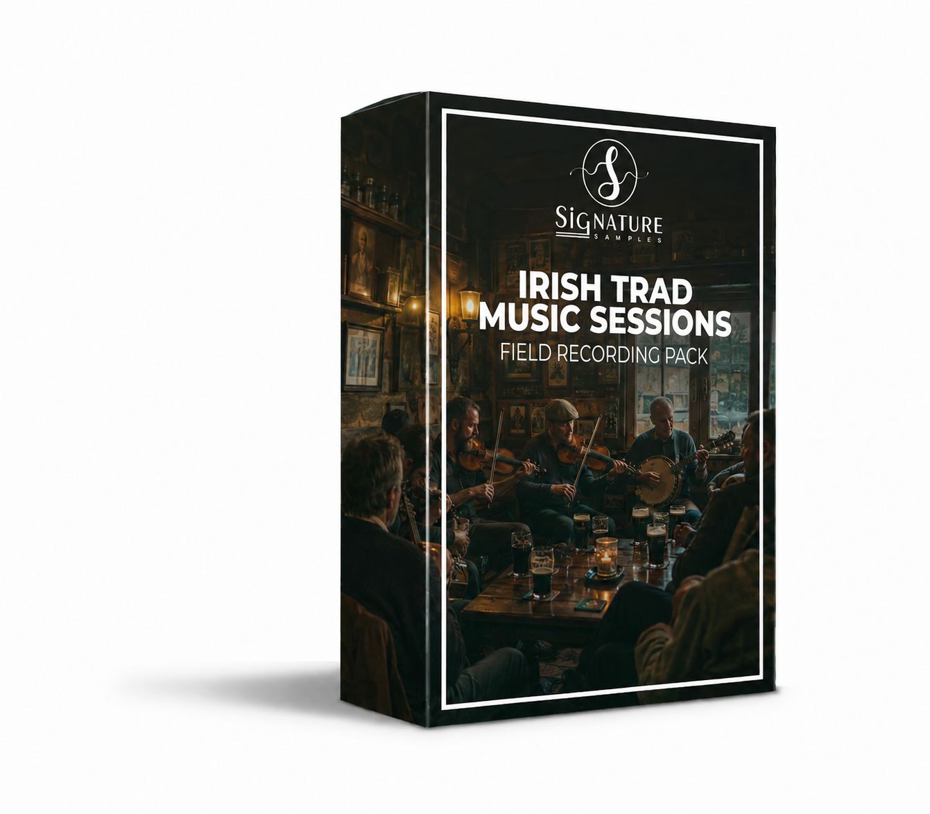 Irish Trad Music Sessions