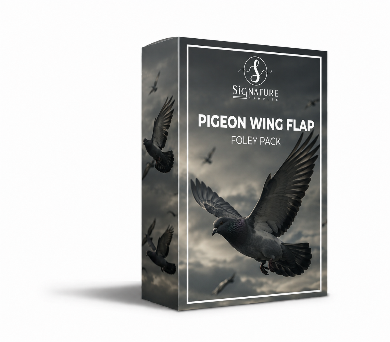 Pigeon Wing Flap SFX